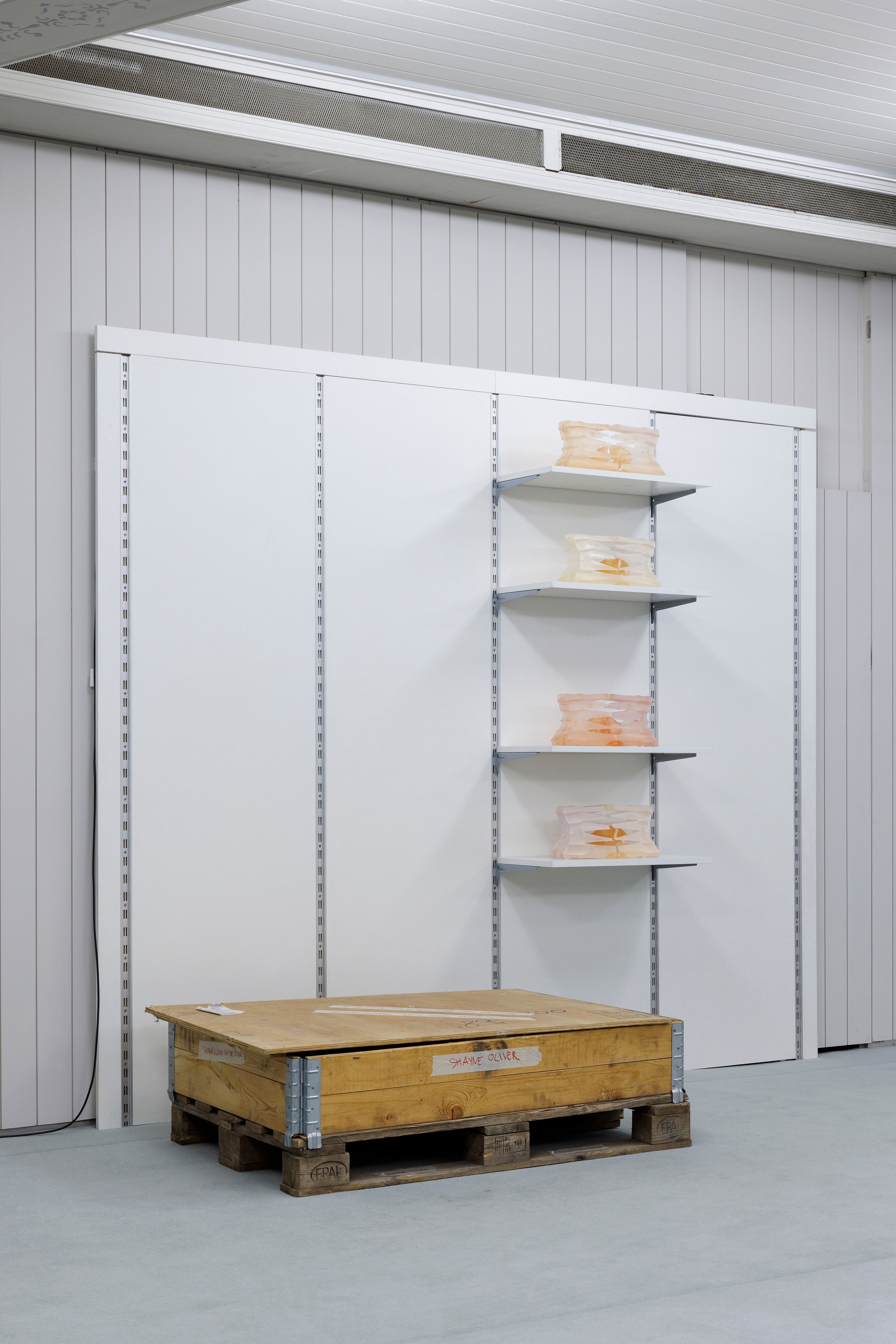 Shayne Oliver, Mall of Anonymous at Schinkel Pavillon, photo 6