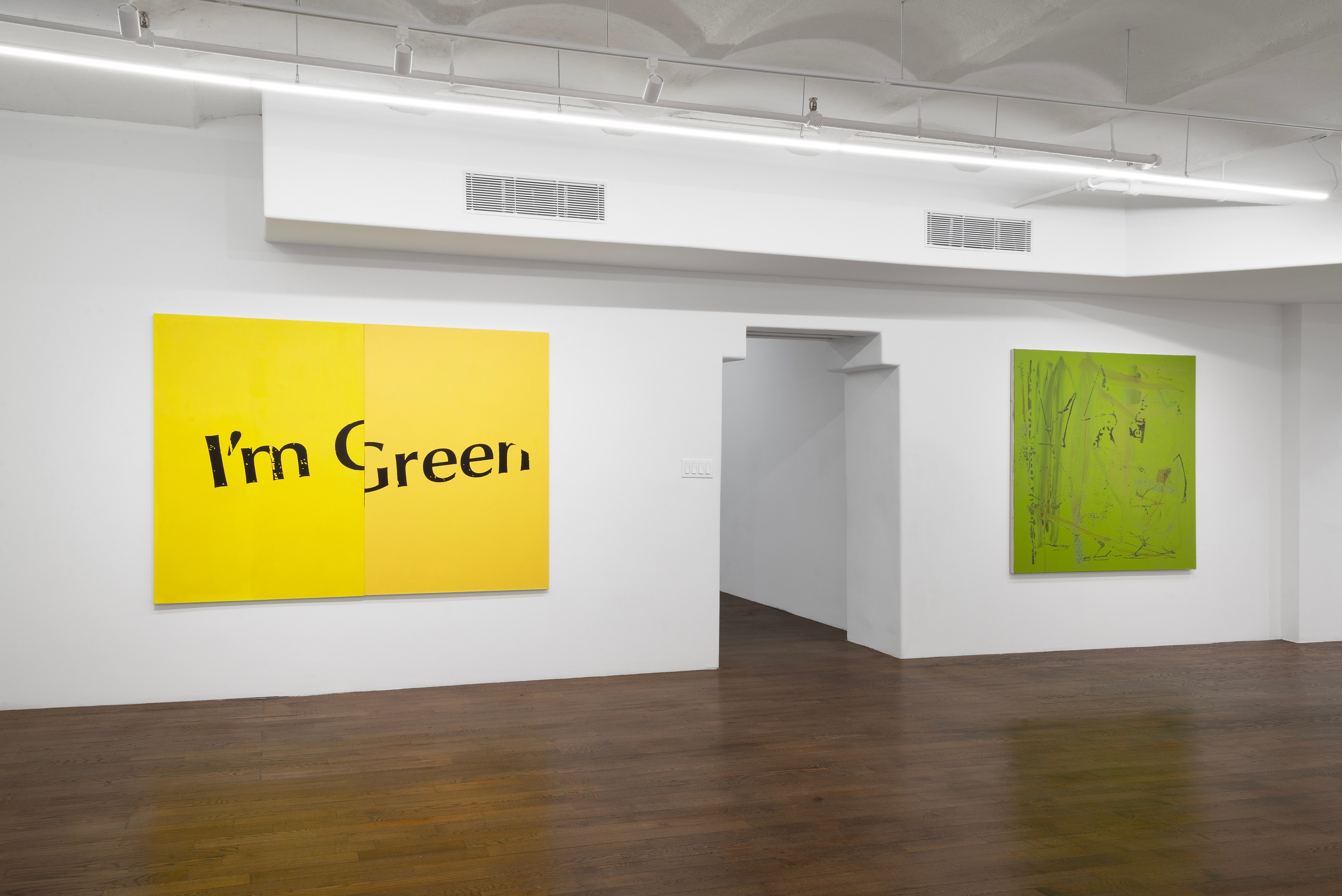 Andy Meerow, Slanted Andy at Derosia, photo 6