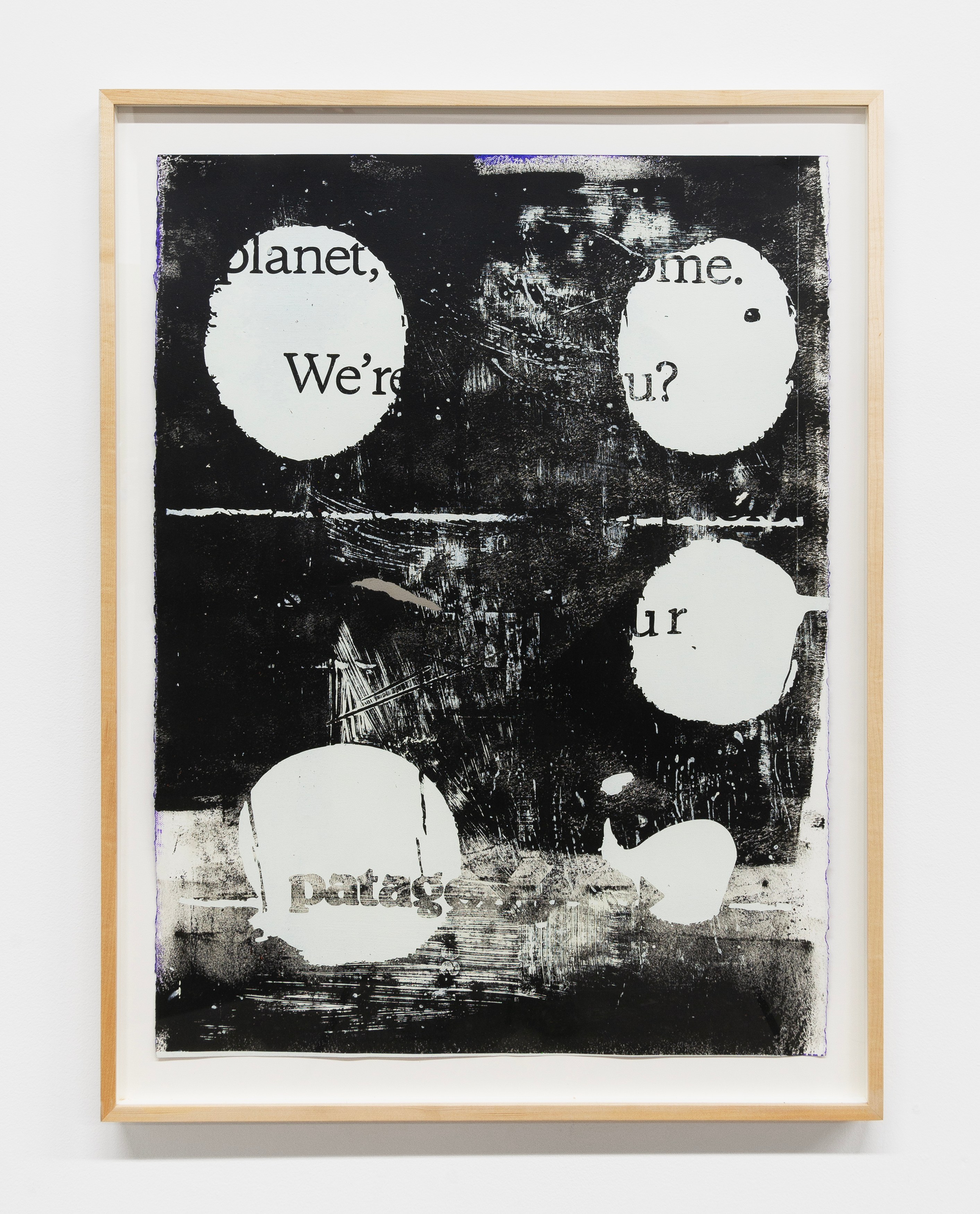 Andy Meerow, Slanted Andy at Derosia, photo 23