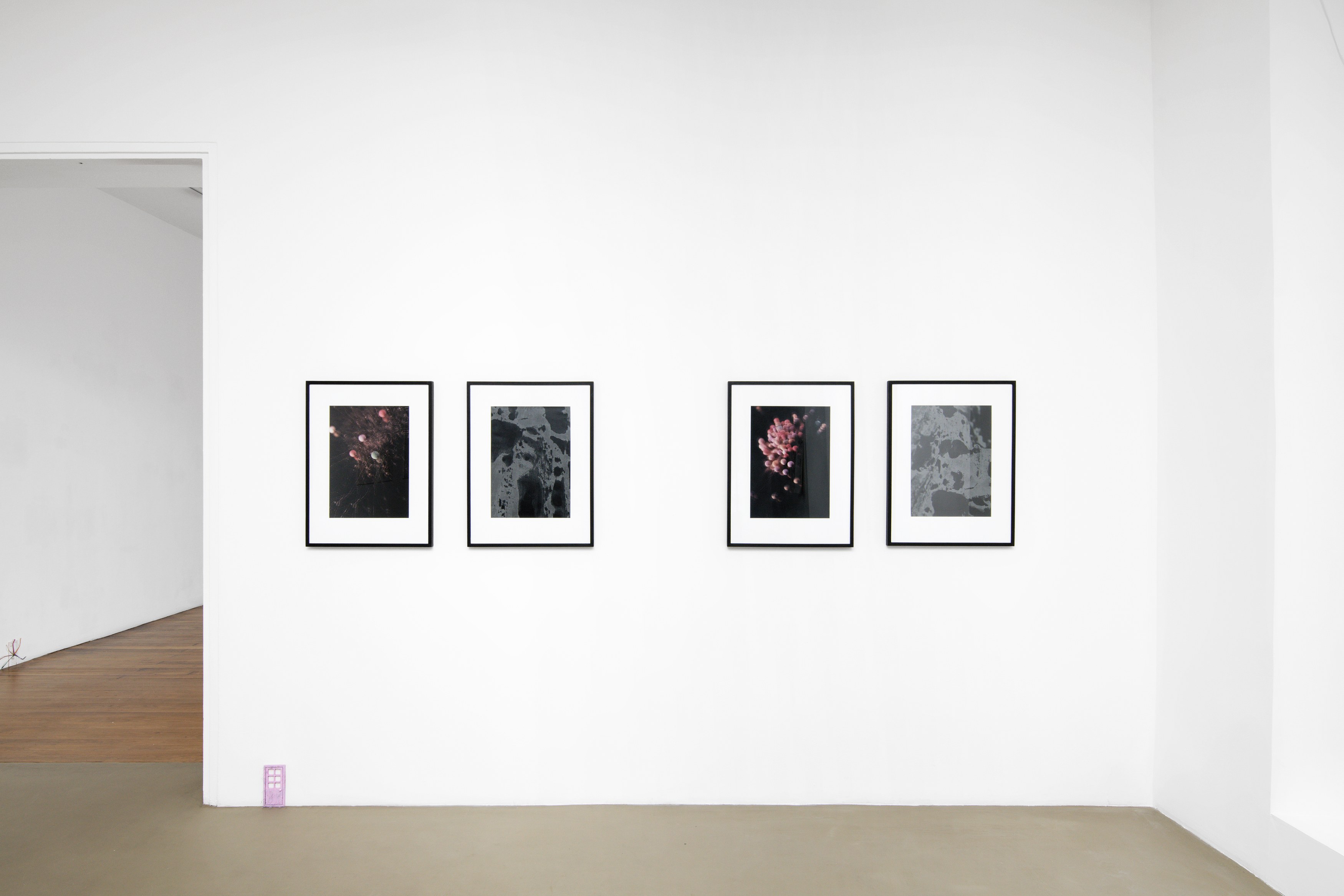 Tous les jours, Tous les jours at Galerie Chantal Crousel, photo 20