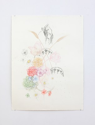 Image 8 of 12