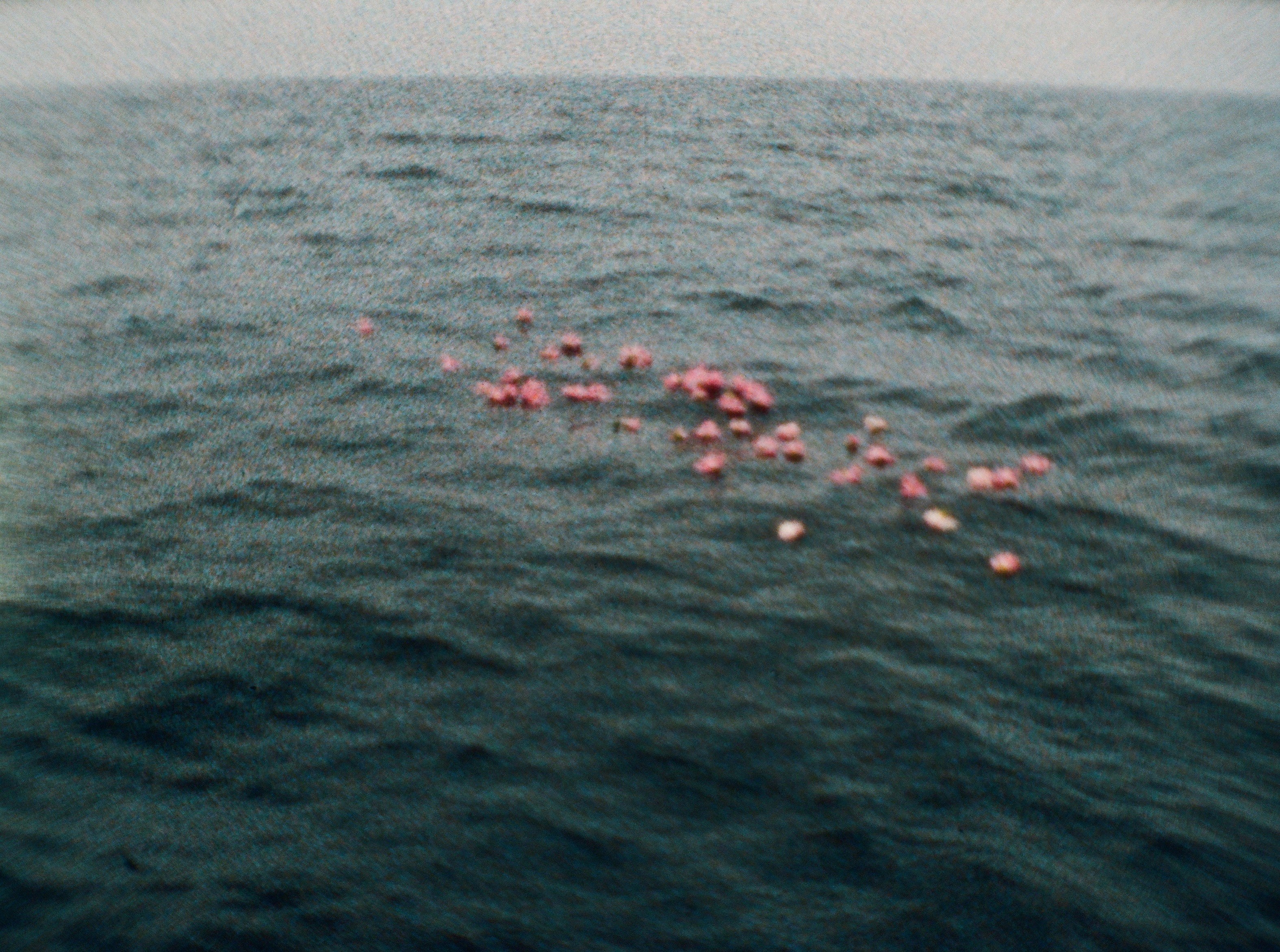 Shimabuku, Sea and Flowers at Wien Lukatsch, photo 5