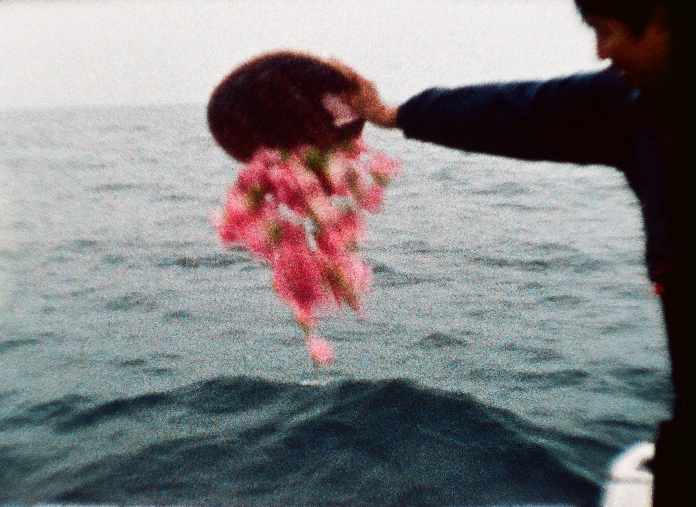 Shimabuku, Sea and Flowers at Wien Lukatsch, photo 6
