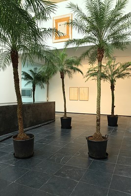 Image 11 of 48