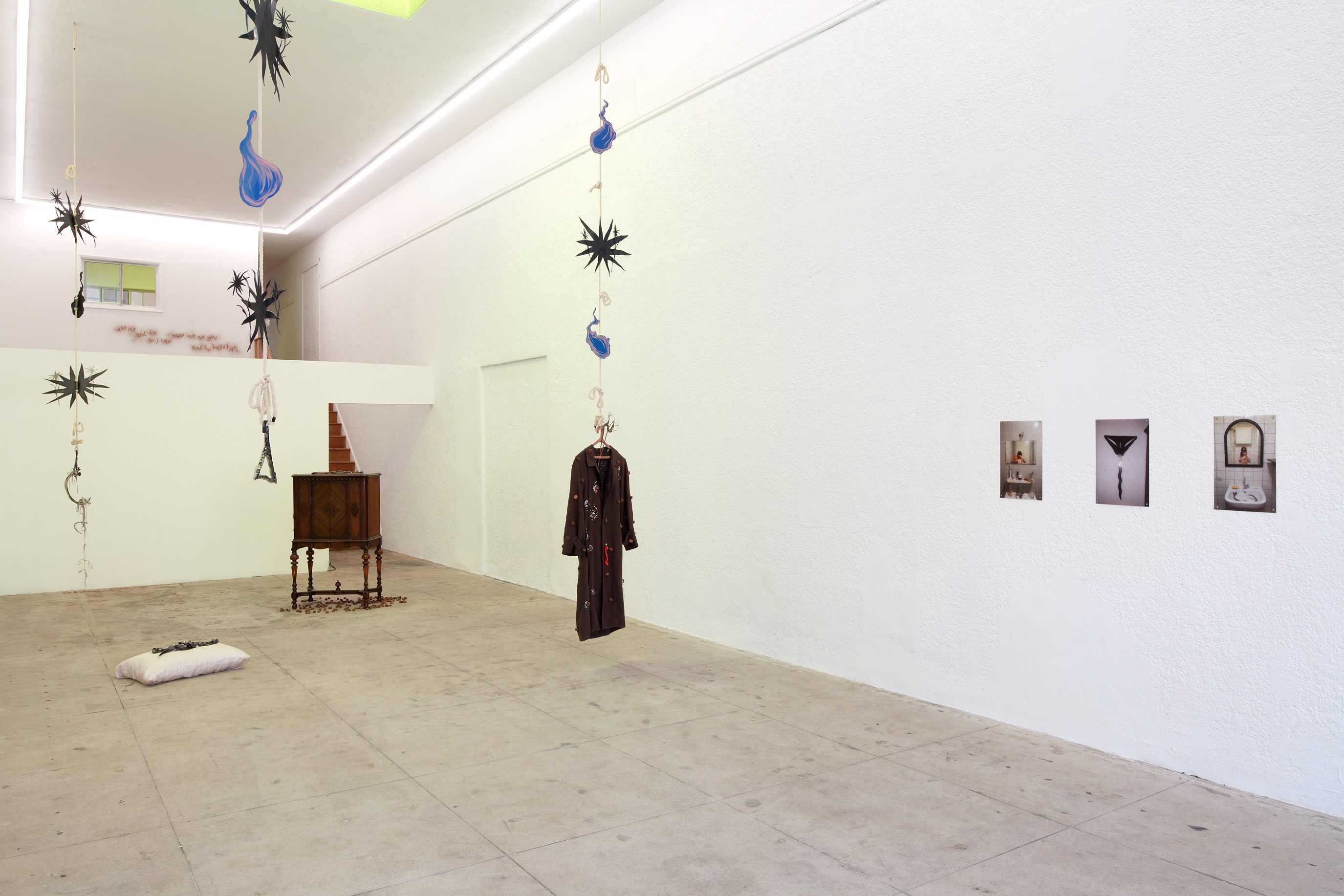Lou Lou Sainsbury, A Cloud That Bites at Ehrlich Steinberg, photo 12