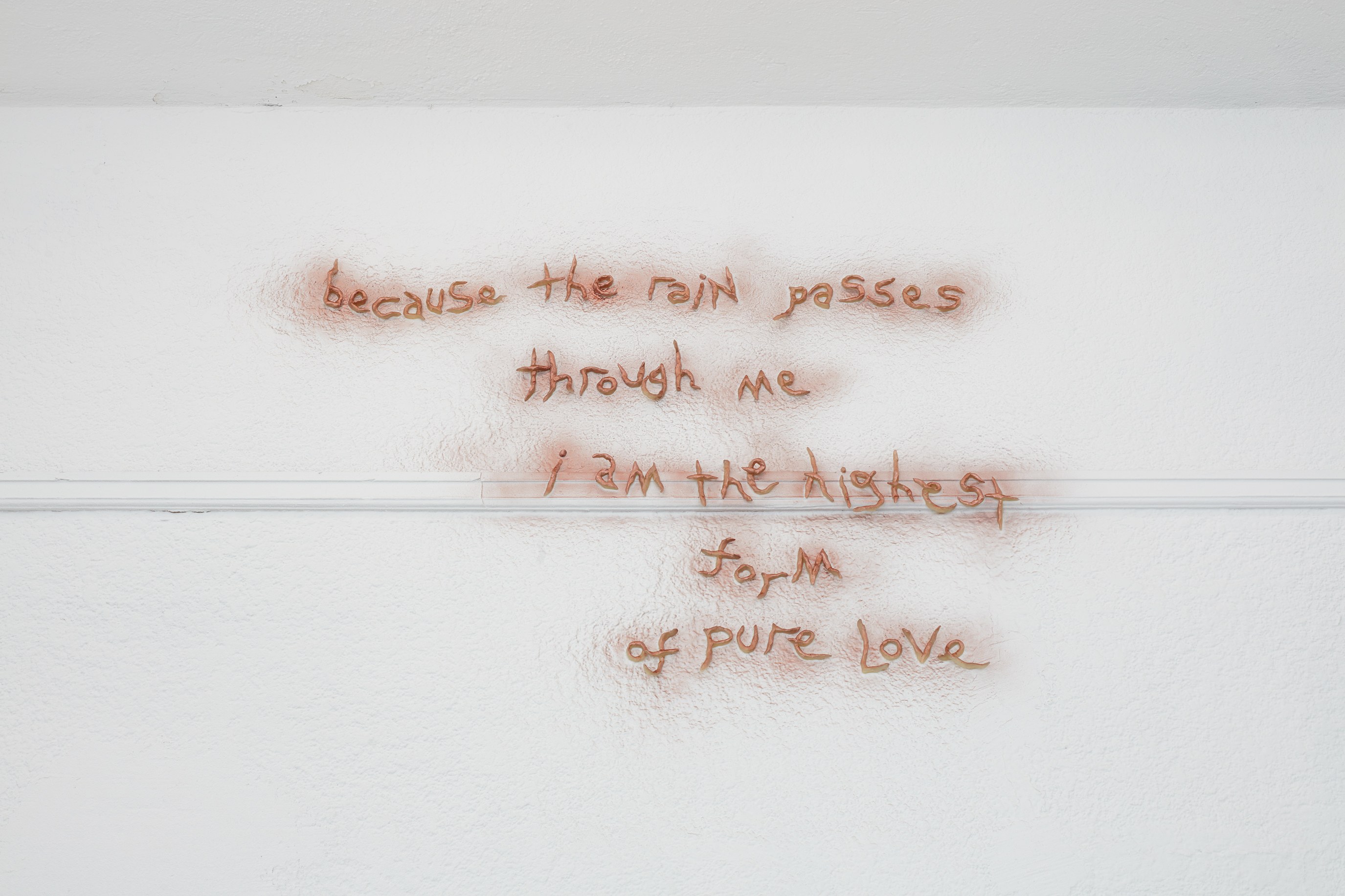 Lou Lou Sainsbury, A Cloud That Bites at Ehrlich Steinberg, photo 11