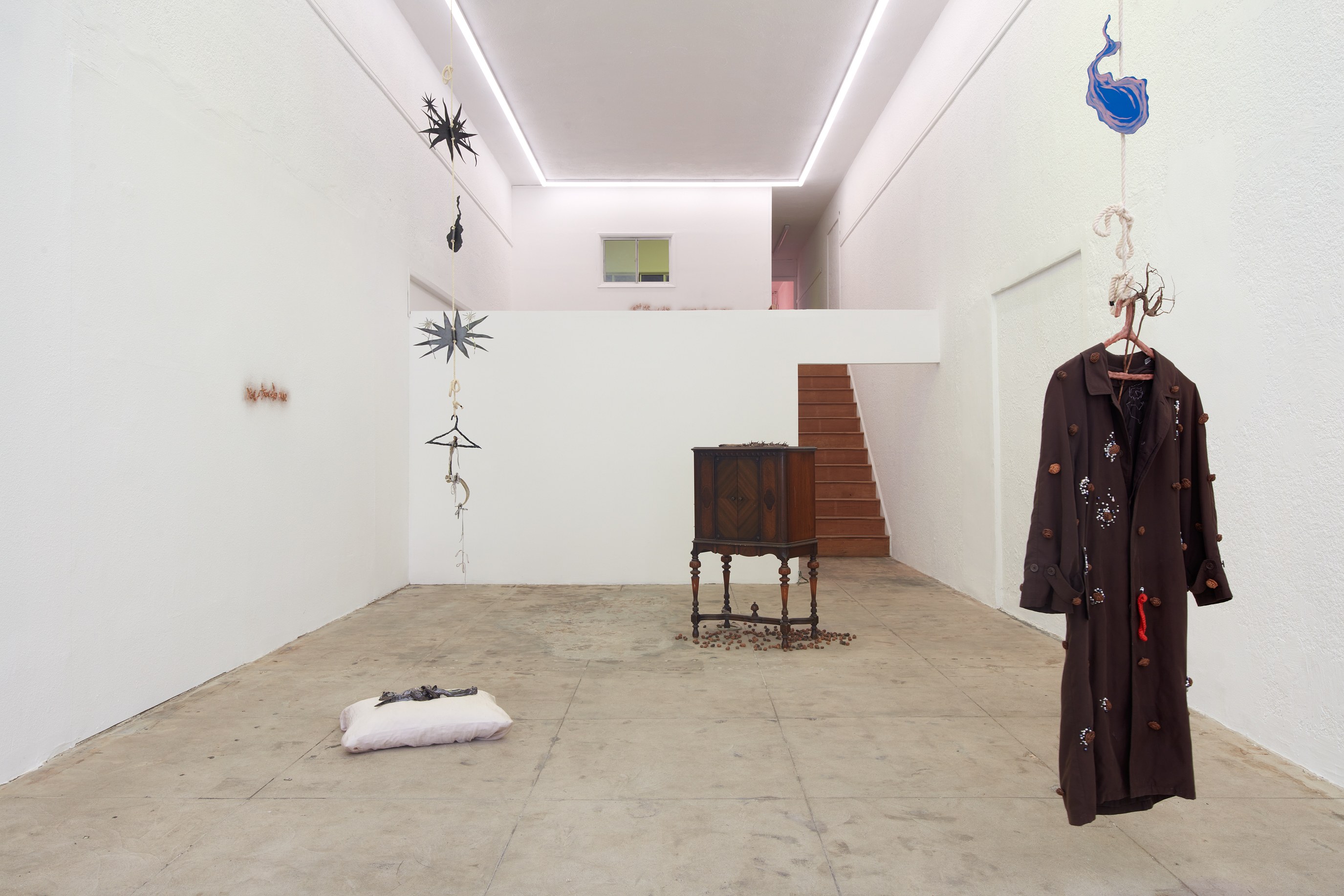 Lou Lou Sainsbury, A Cloud That Bites at Ehrlich Steinberg, photo 15