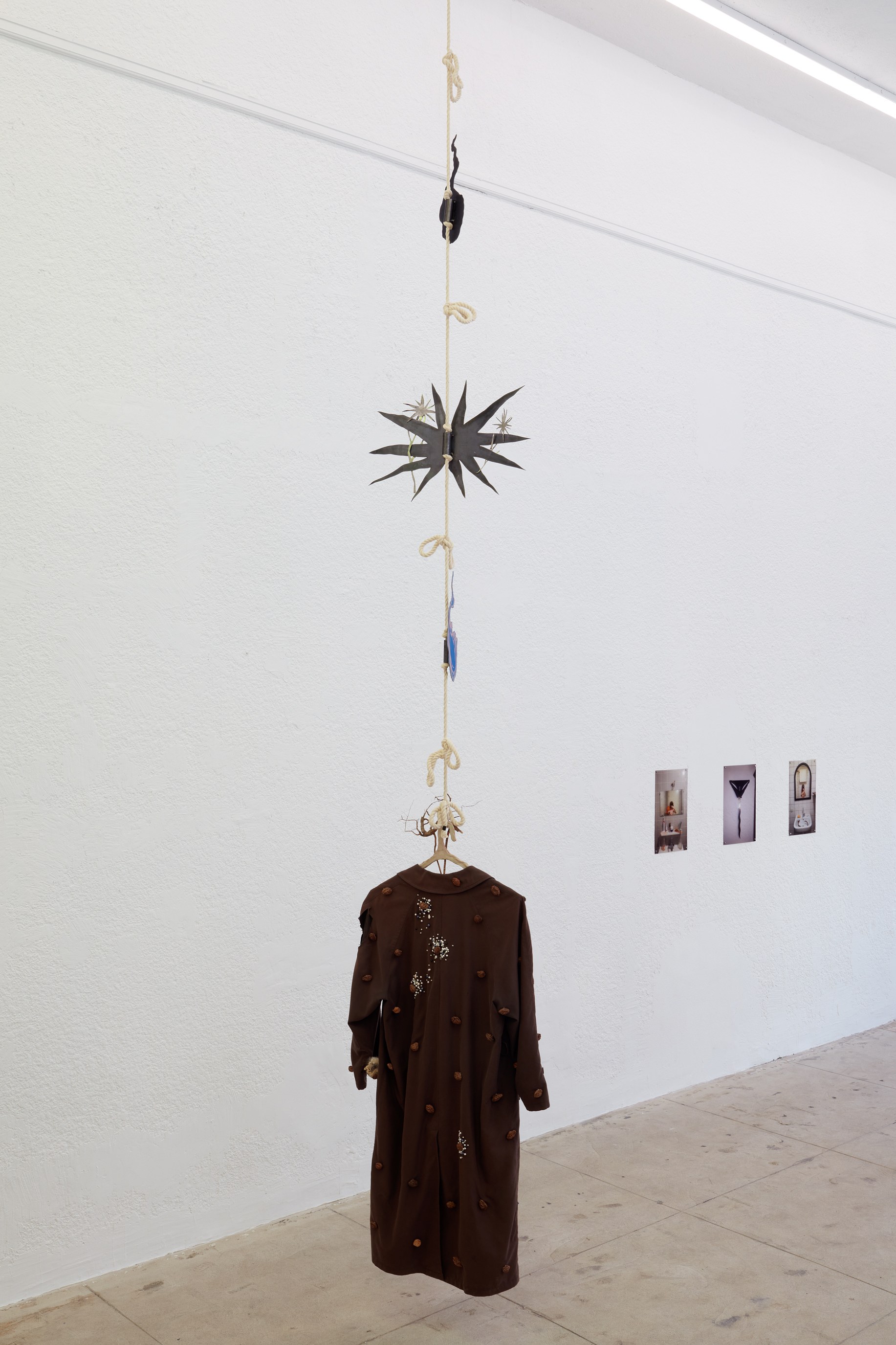 Lou Lou Sainsbury, A Cloud That Bites at Ehrlich Steinberg, photo 26