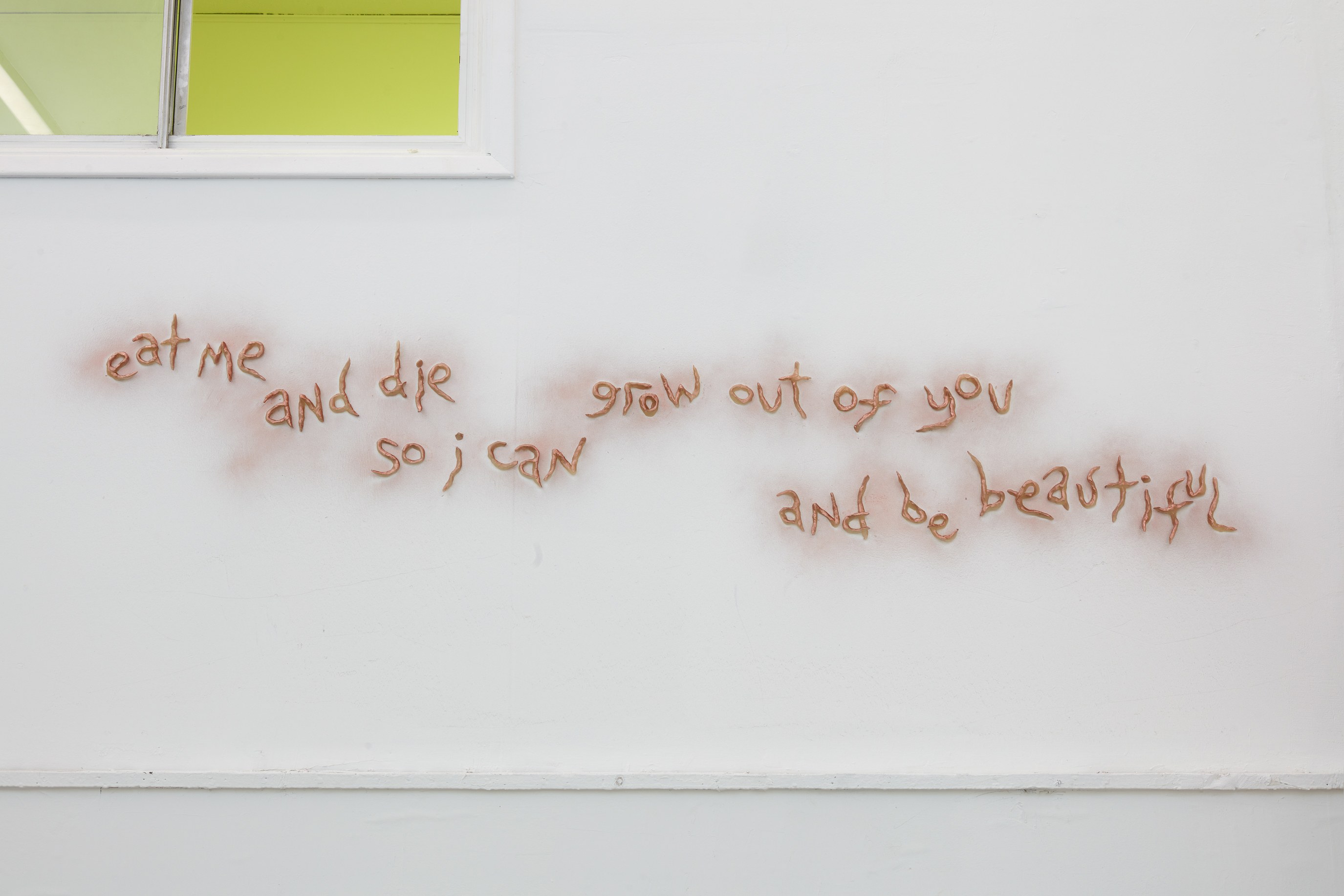 Lou Lou Sainsbury, A Cloud That Bites at Ehrlich Steinberg, photo 36