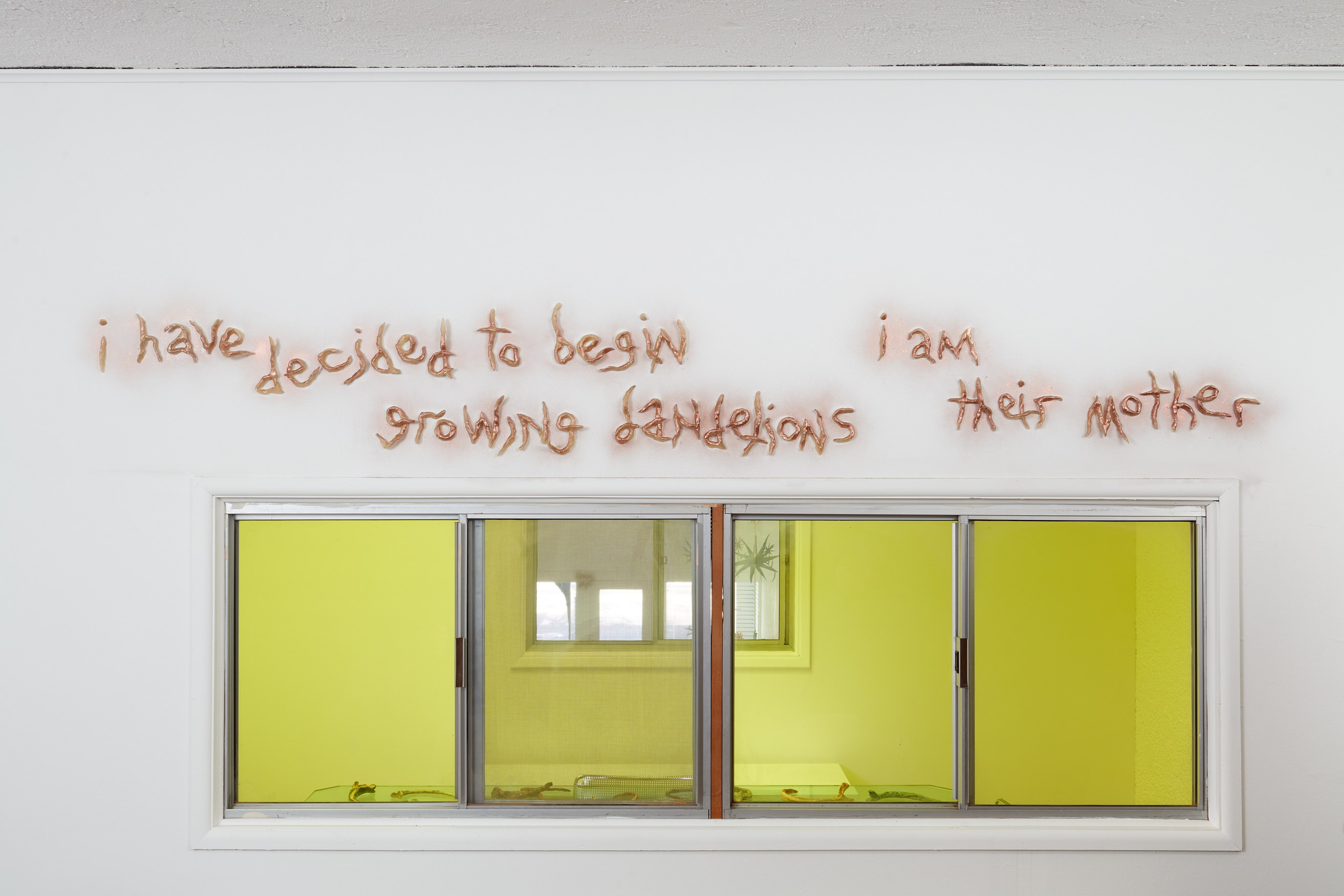 Lou Lou Sainsbury, A Cloud That Bites at Ehrlich Steinberg, photo 43