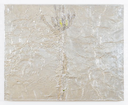 Image 14 of 27