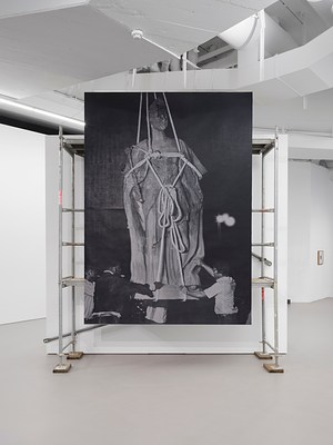 Image 2 of 14