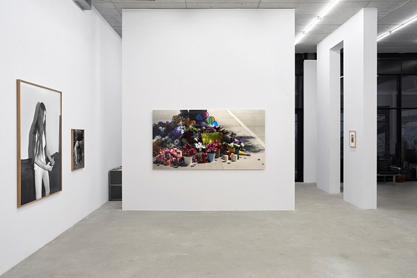 Image 7 of 19