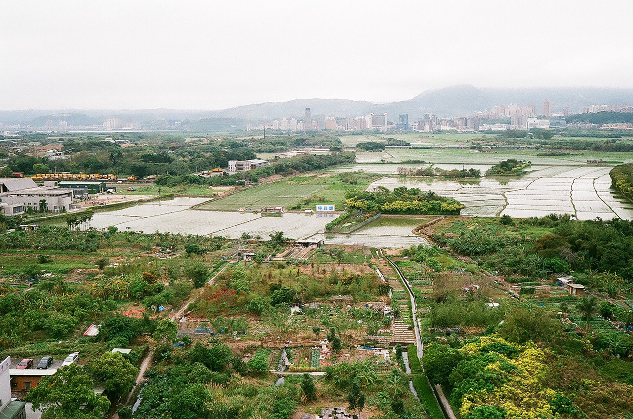 Shimabuku, image 16 of 18