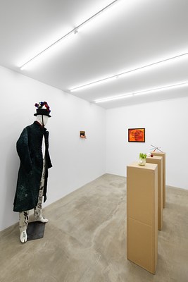 Image 20 of 27