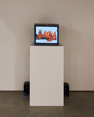 Image 12 of 12