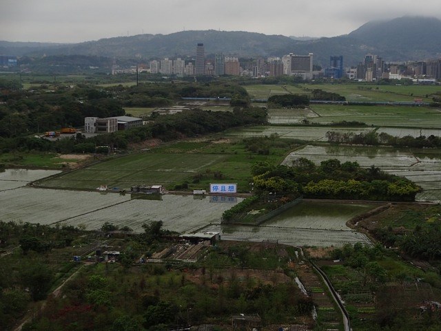 Shimabuku, image 18 of 18