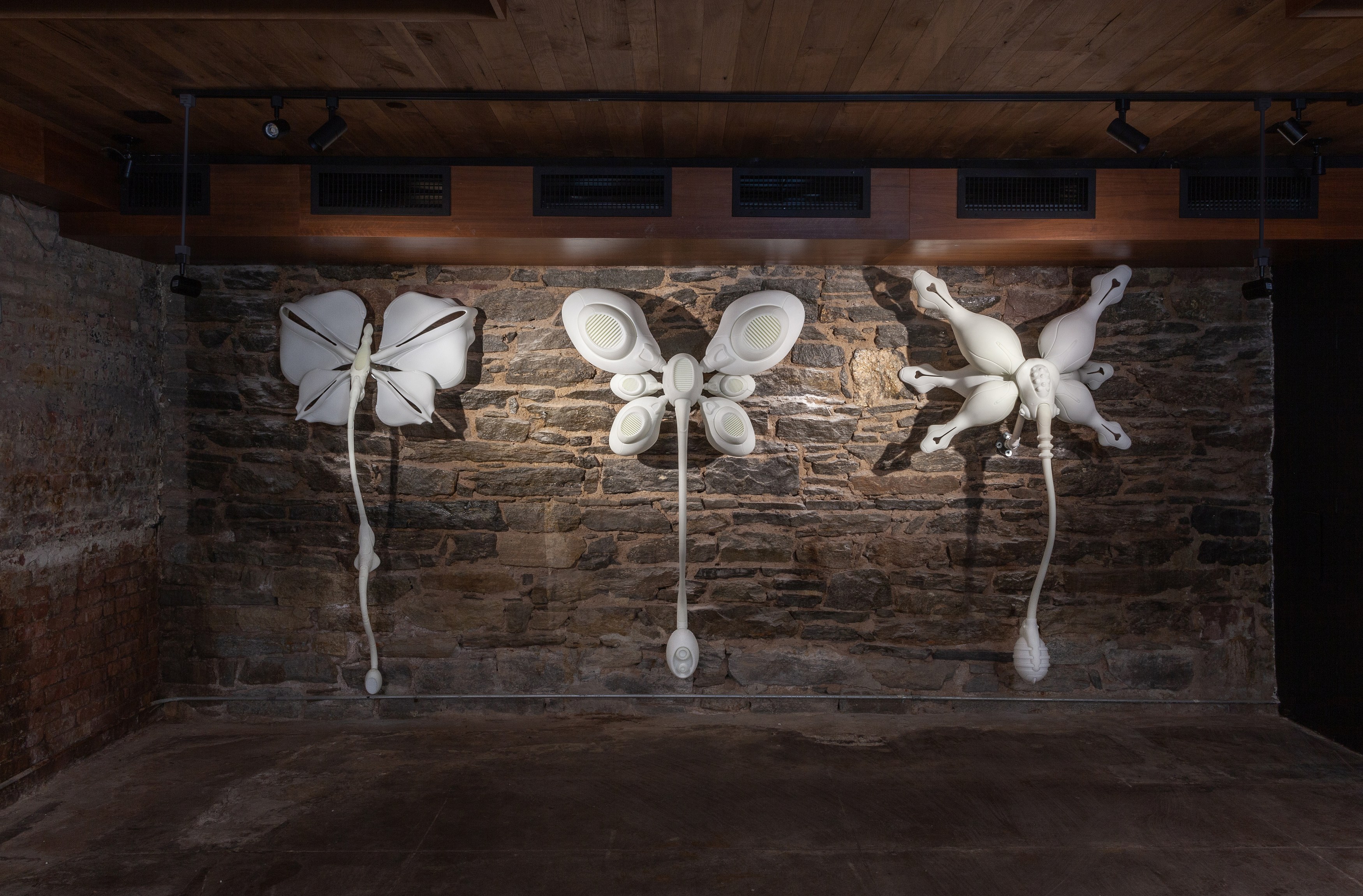 Radimir Koch, Anna Pederson, Secrets to Graceful Living at Alyssa Davis Gallery, photo 29