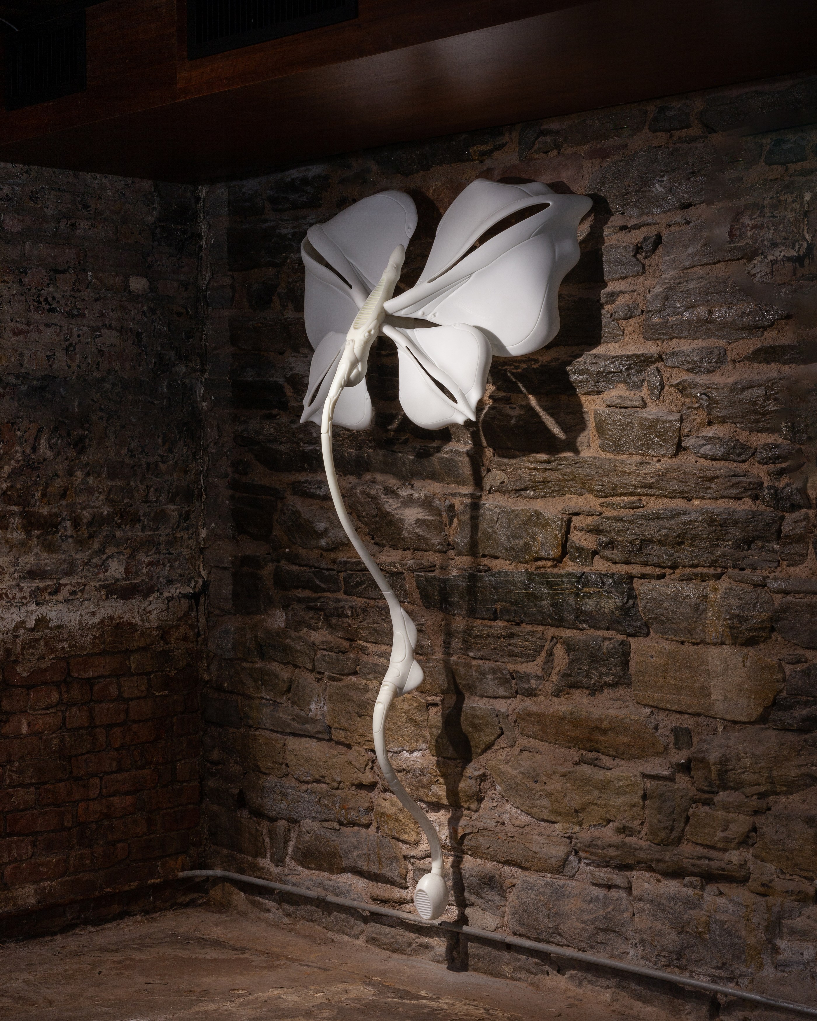 Radimir Koch, Anna Pederson, Secrets to Graceful Living at Alyssa Davis Gallery, photo 30