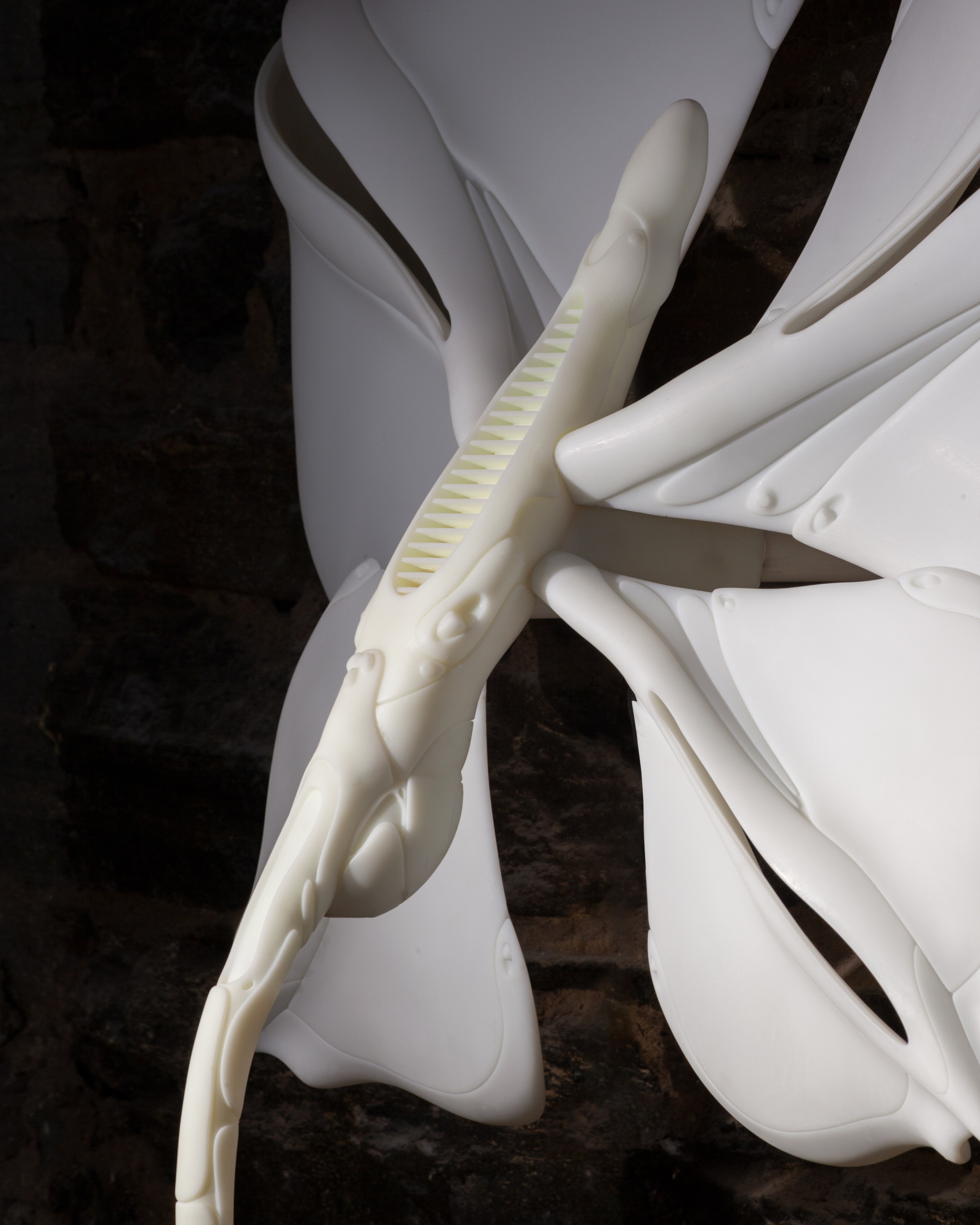 Radimir Koch, Anna Pederson, Secrets to Graceful Living at Alyssa Davis Gallery, photo 32