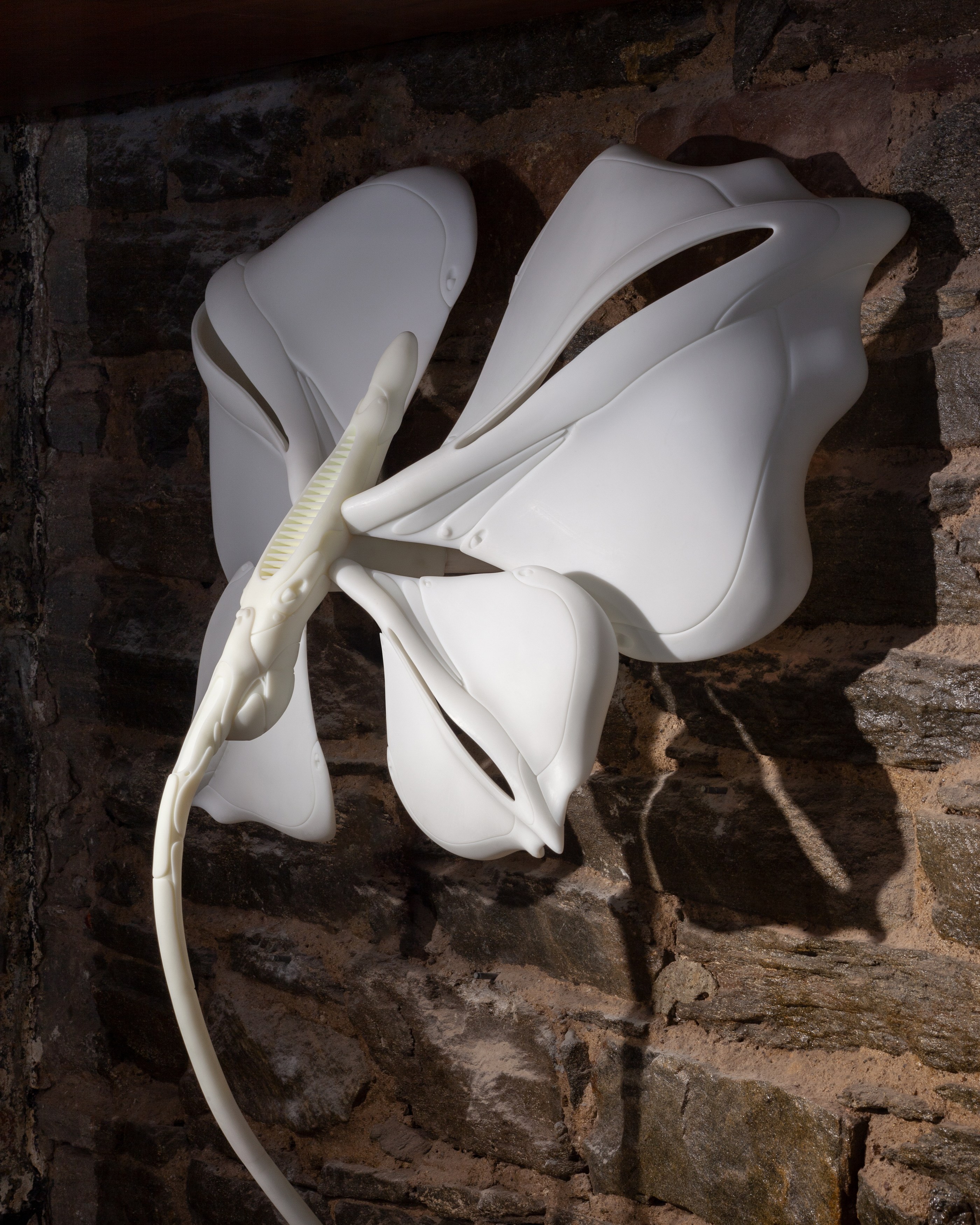 Radimir Koch, Anna Pederson, Secrets to Graceful Living at Alyssa Davis Gallery, photo 31