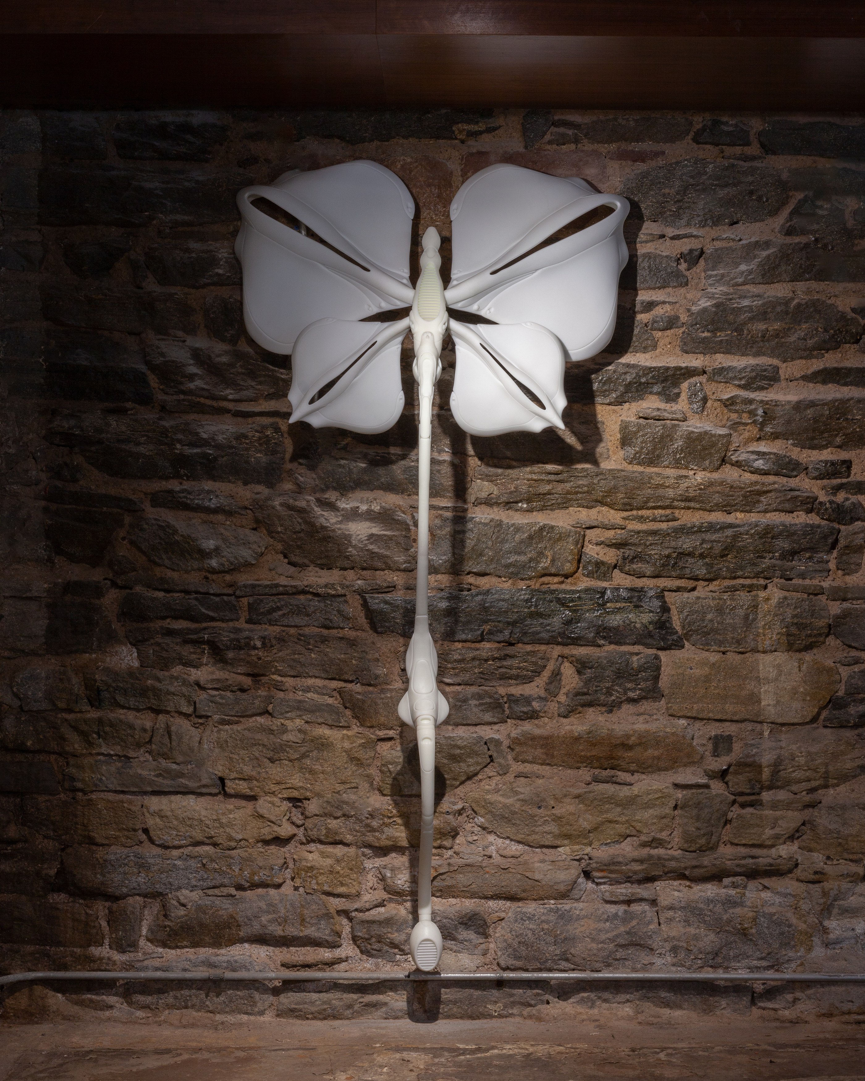 Radimir Koch, Anna Pederson, Secrets to Graceful Living at Alyssa Davis Gallery, photo 34