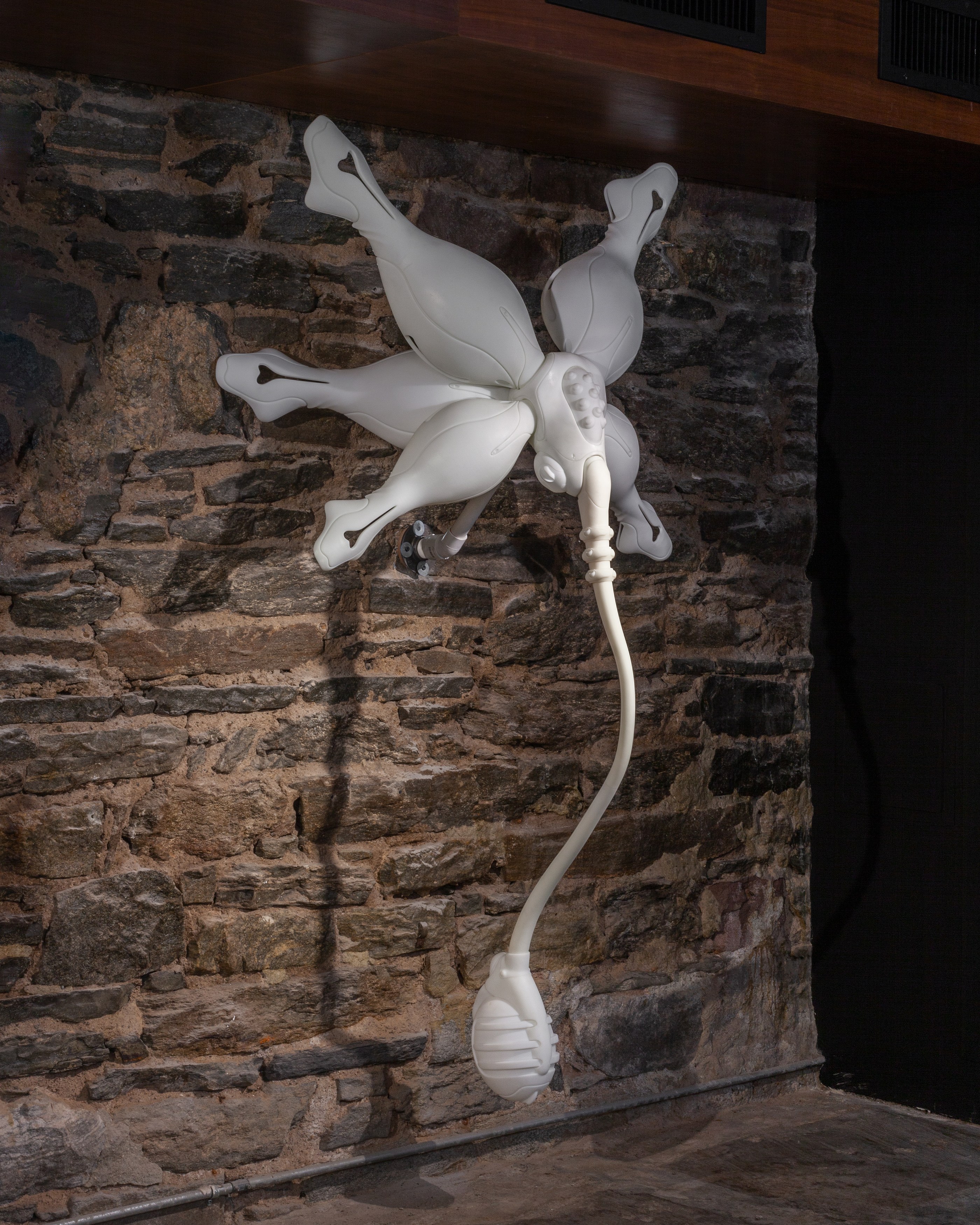 Radimir Koch, Anna Pederson, Secrets to Graceful Living at Alyssa Davis Gallery, photo 40