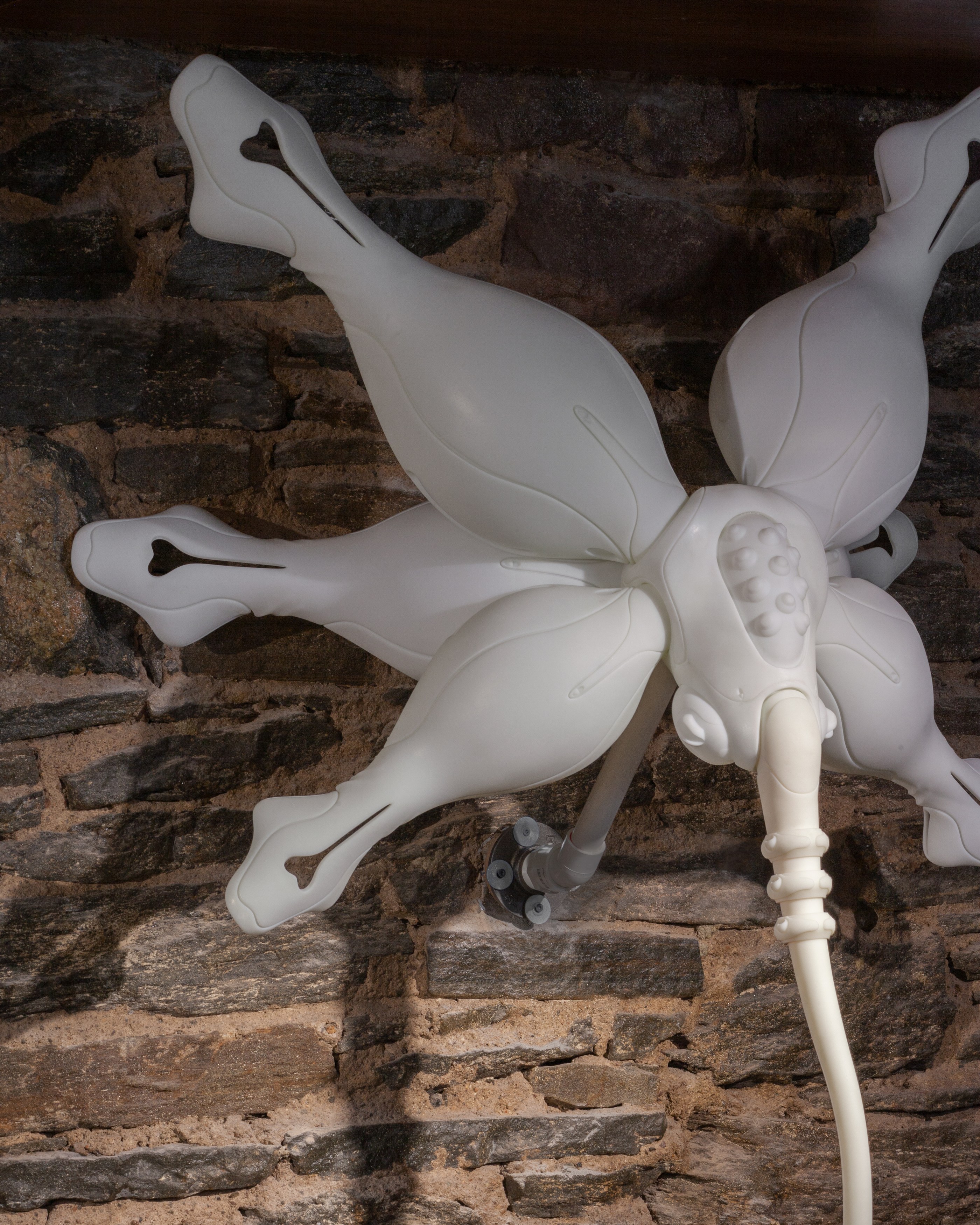 Radimir Koch, Anna Pederson, Secrets to Graceful Living at Alyssa Davis Gallery, photo 41
