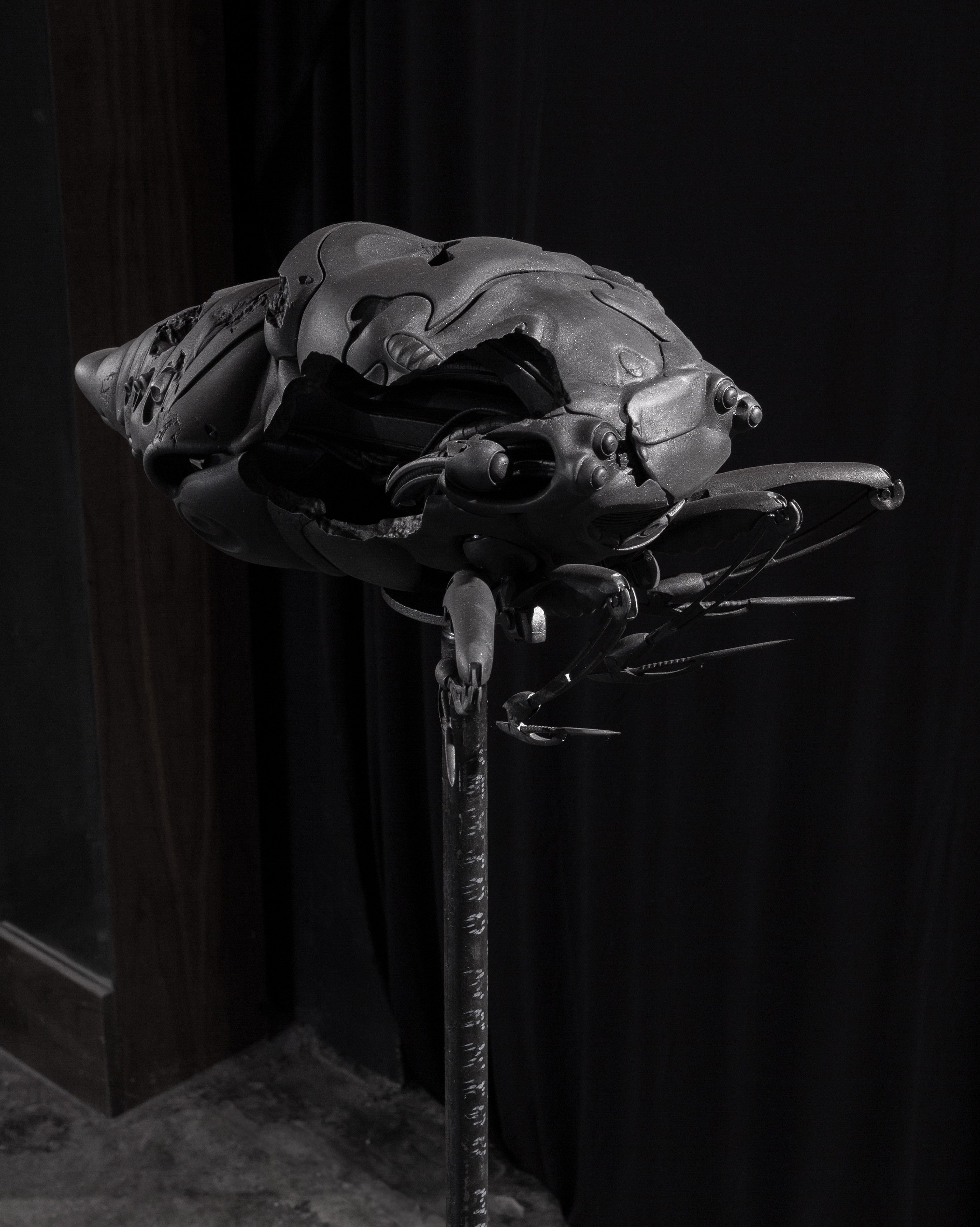 Radimir Koch, Anna Pederson, Secrets to Graceful Living at Alyssa Davis Gallery, photo 49