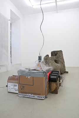 Image 12 of 25