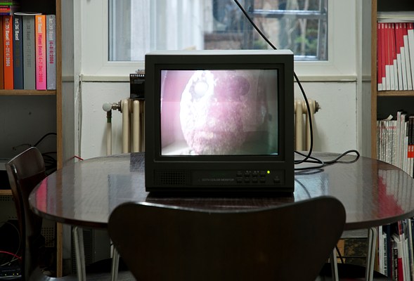 Image 15 of 25