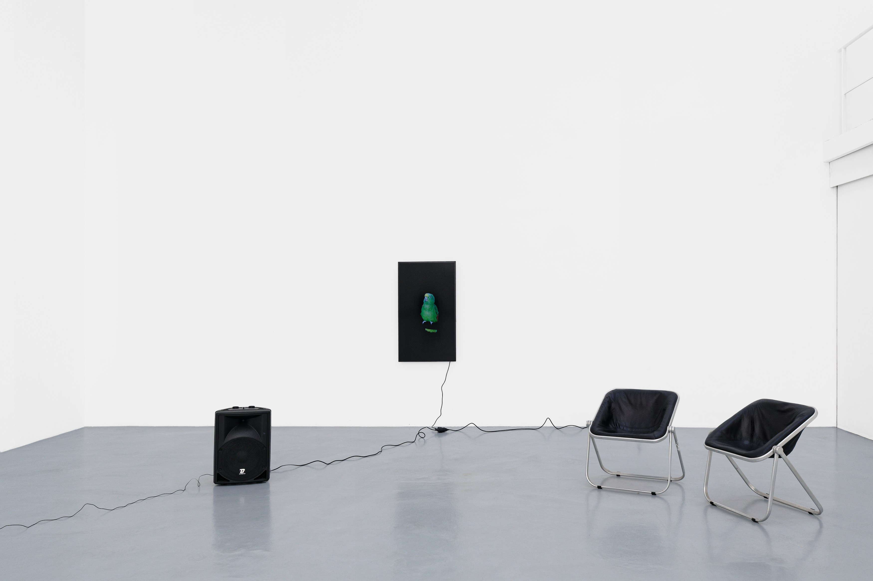 Diana Thater, The Conversation at La Cuisine, photo 2