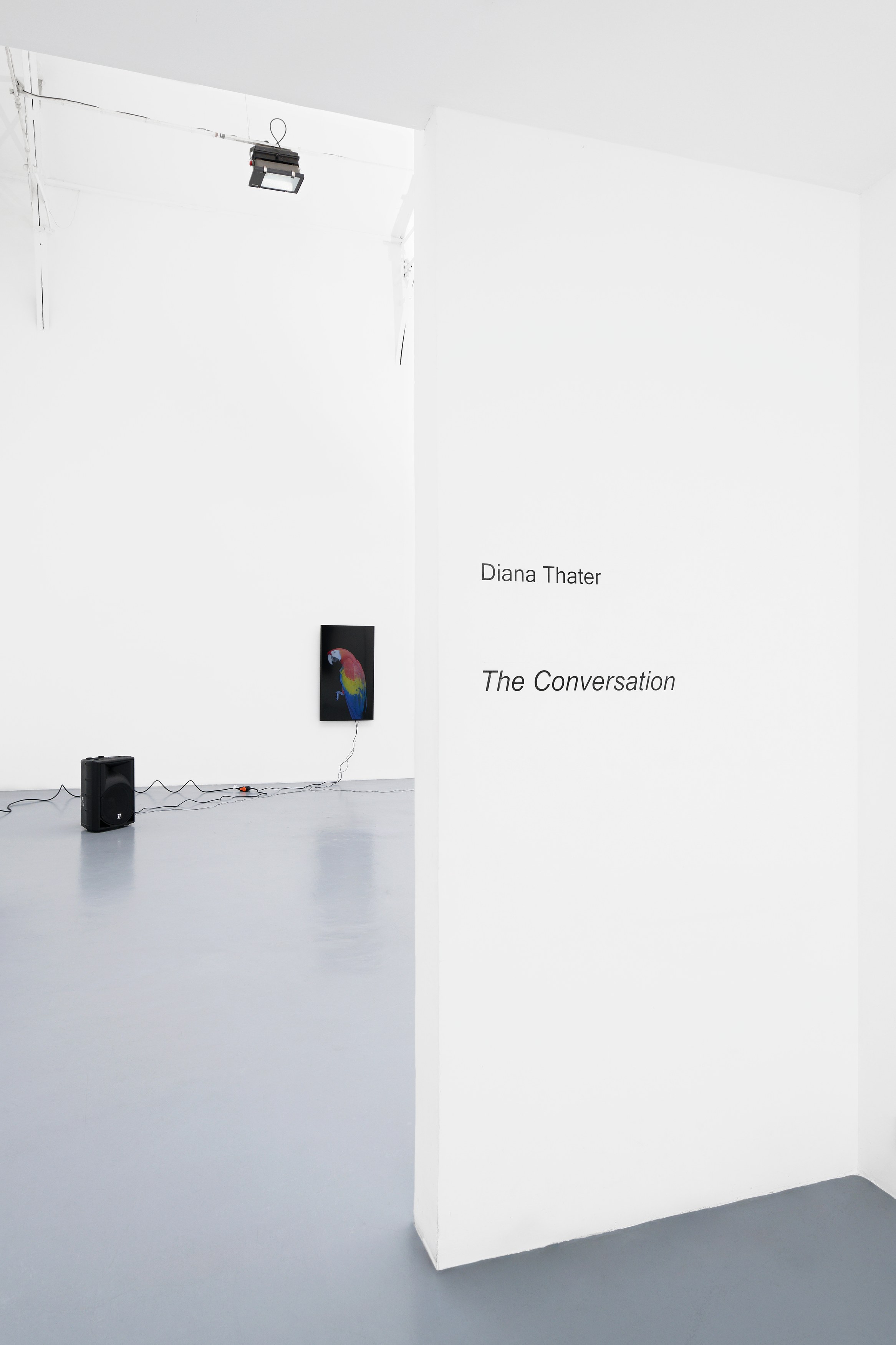 Diana Thater, The Conversation at La Cuisine, photo 4