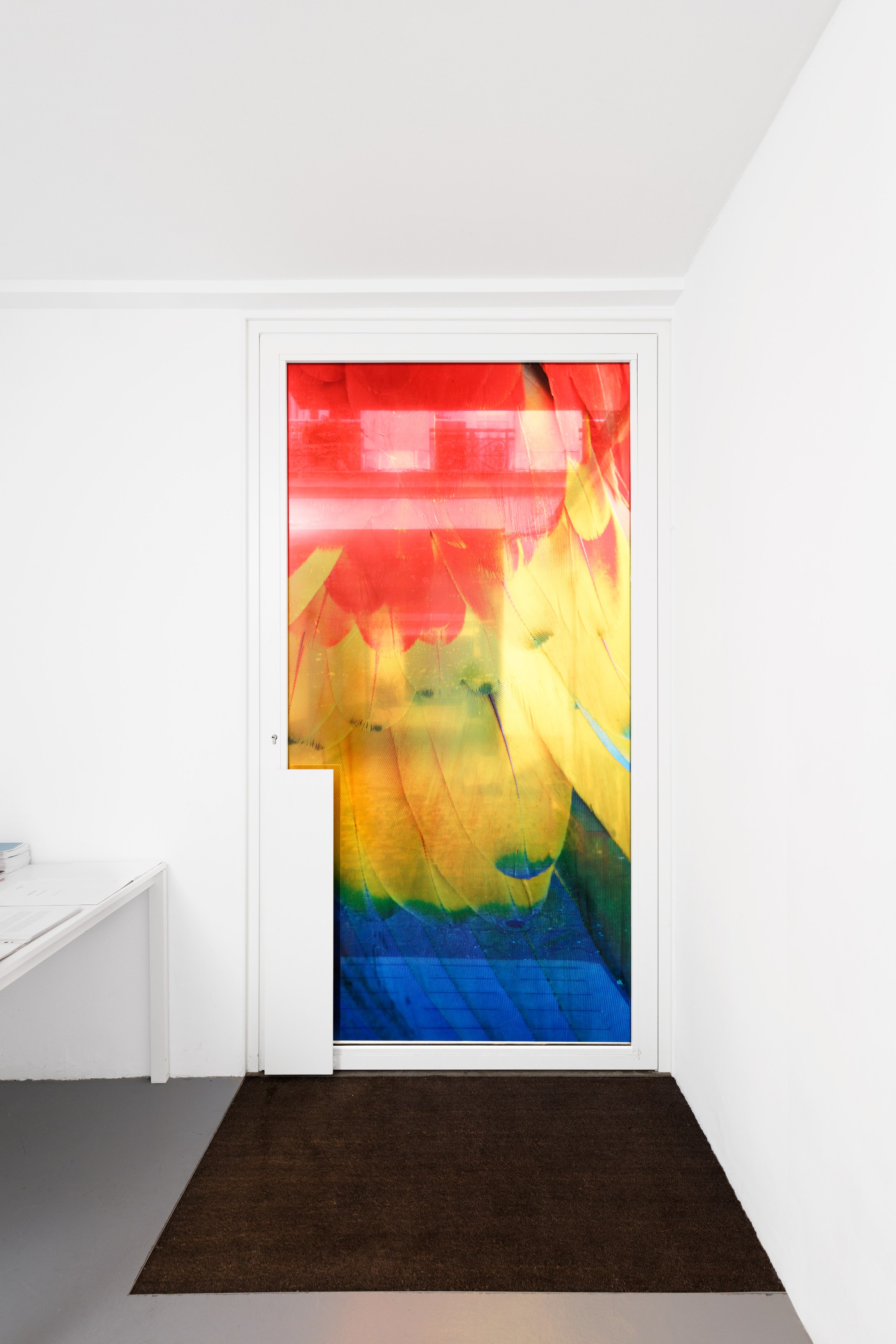 Diana Thater, The Conversation at La Cuisine, photo 5