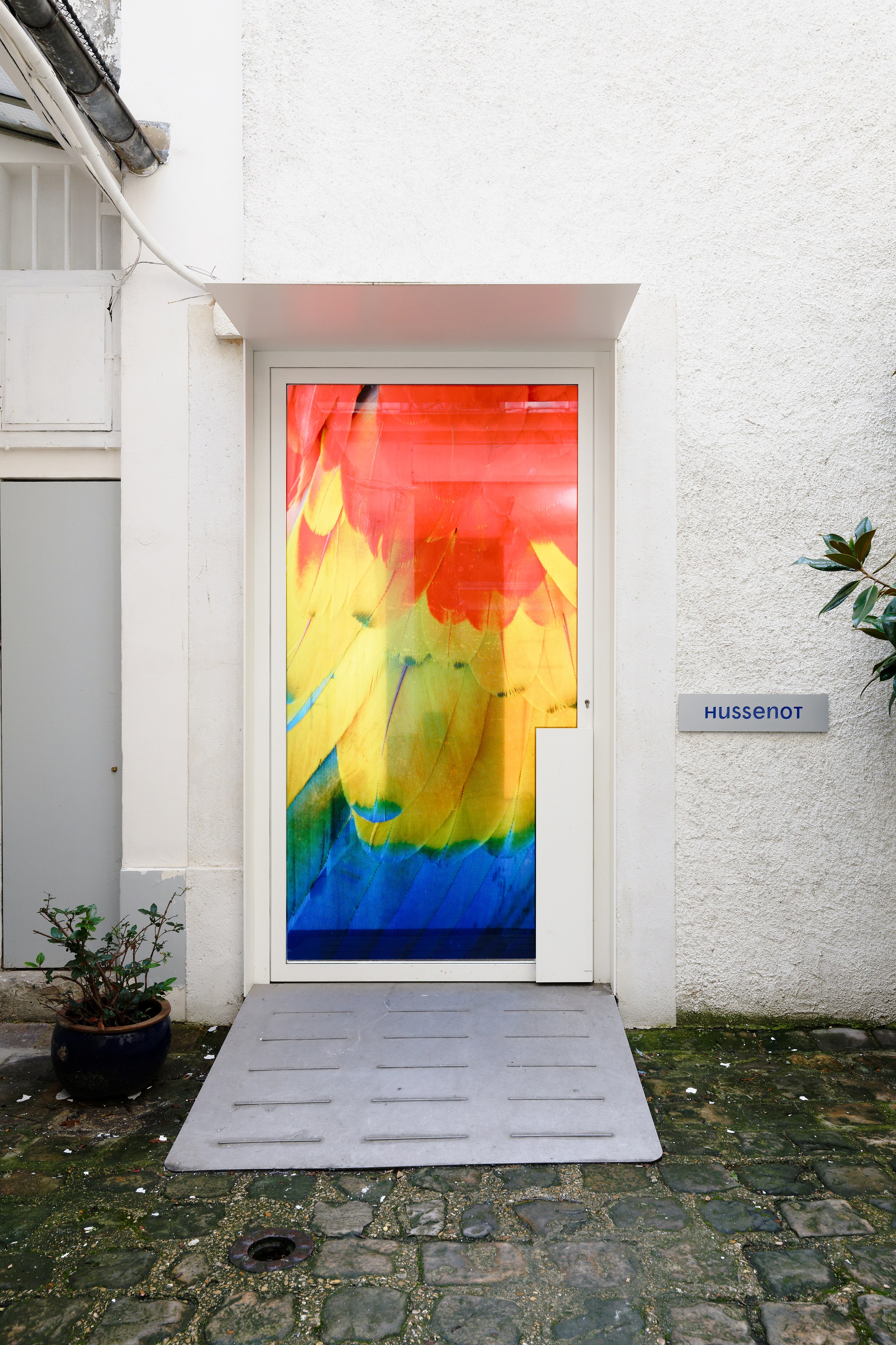 Diana Thater, The Conversation at La Cuisine, photo 6