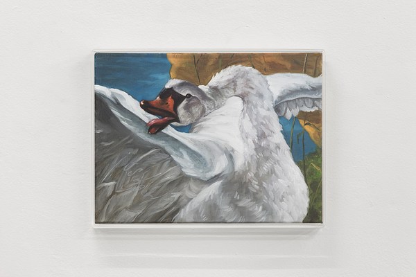 Image 17 of 45