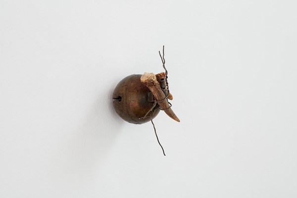 Image 4 of 26