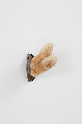 Image 8 of 26