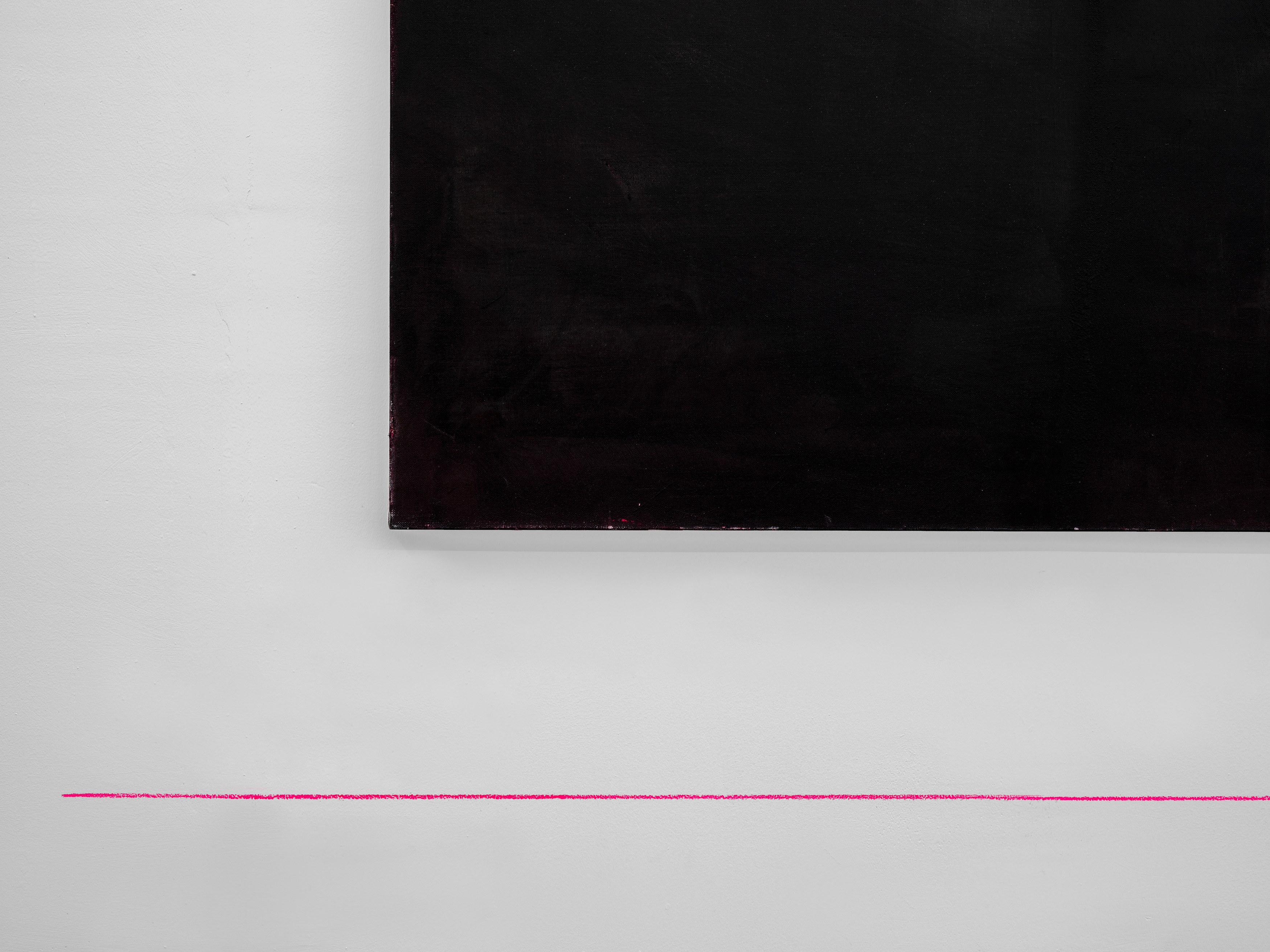 Jonathan Binet, une rose est une rose est une rose at Galerie Balice Hertling, photo 28