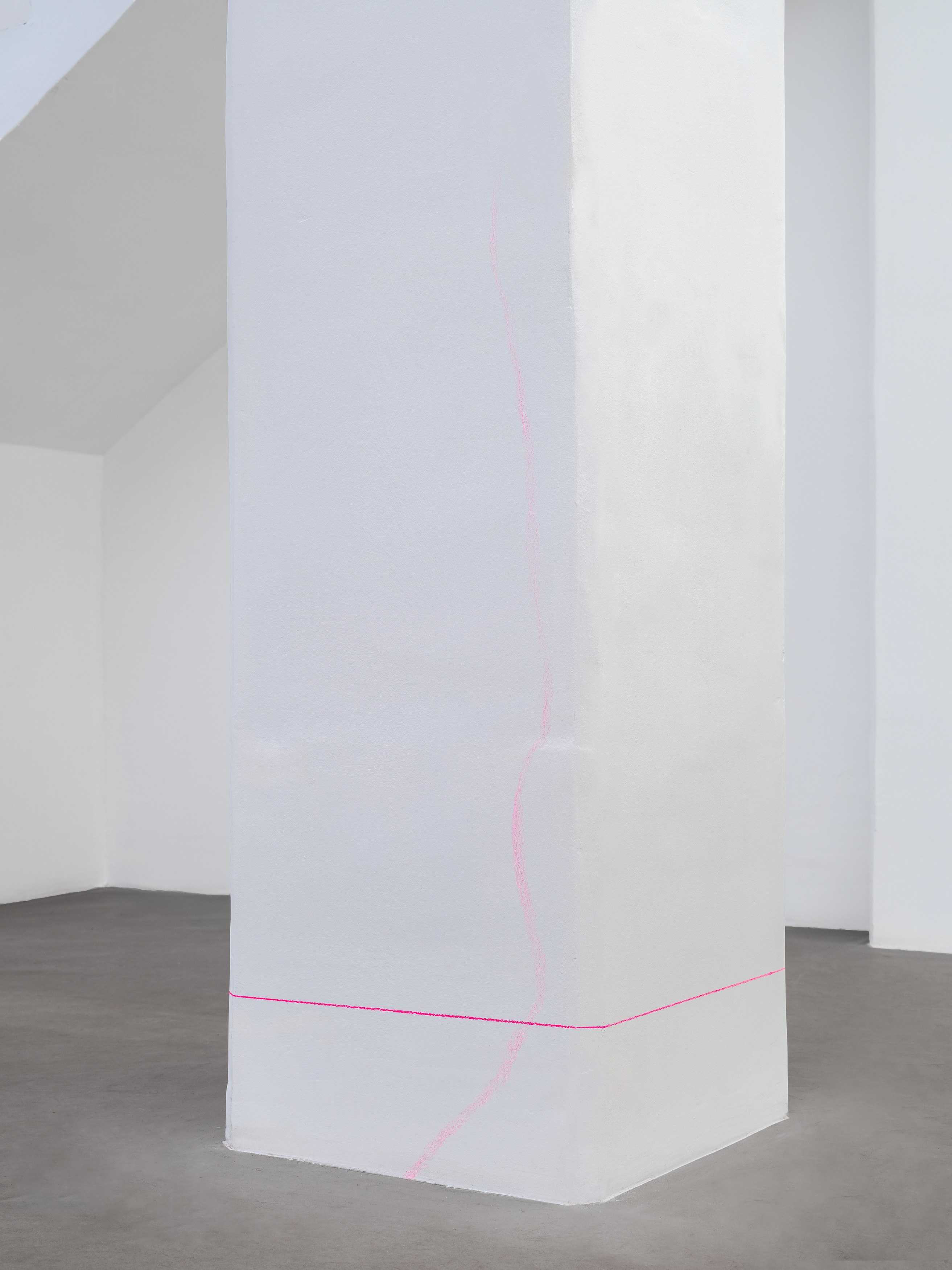 Jonathan Binet, une rose est une rose est une rose at Galerie Balice Hertling, photo 29