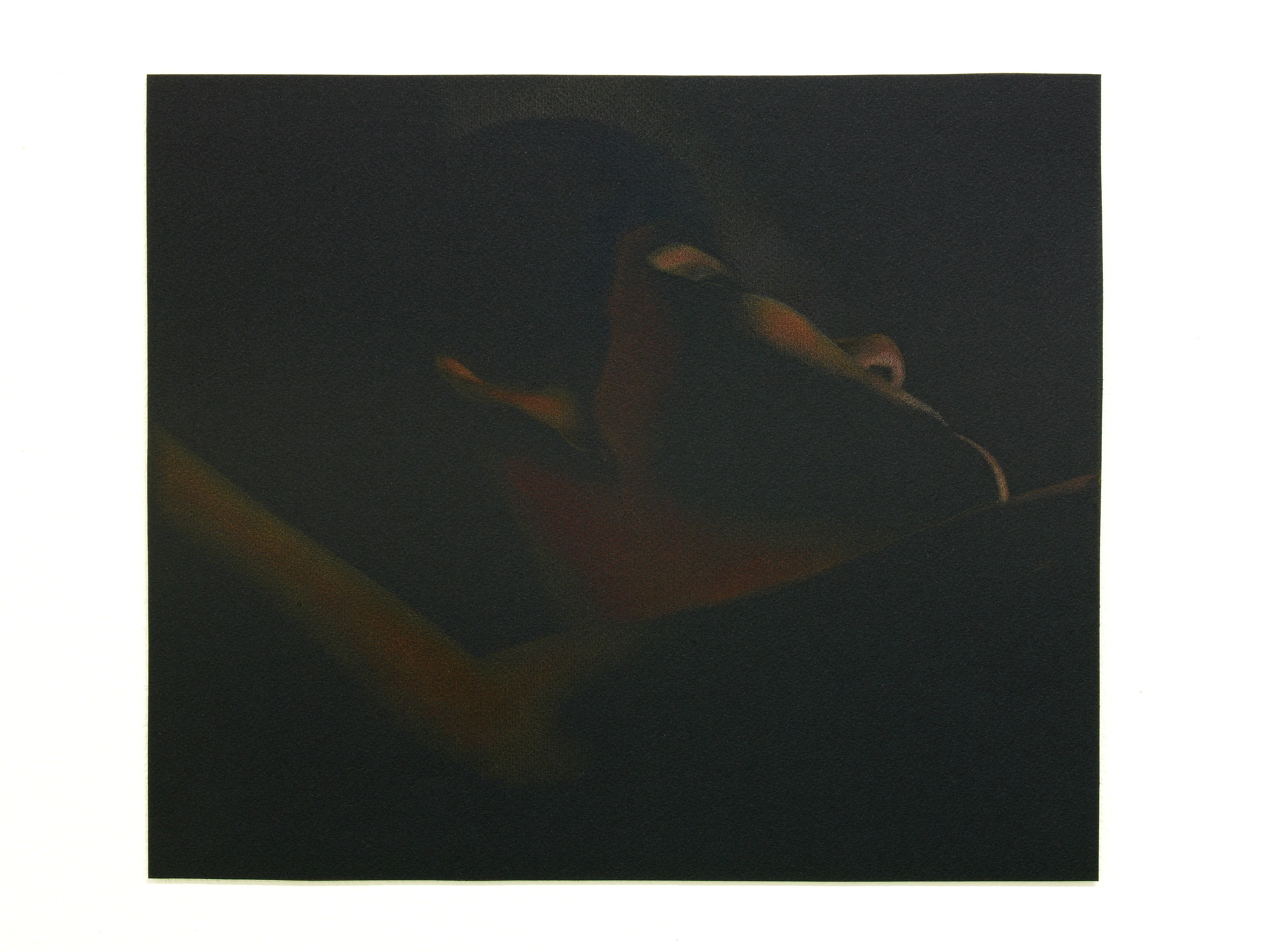 Monica Majoli, Black Mirror /1 at Air de Paris, photo 11