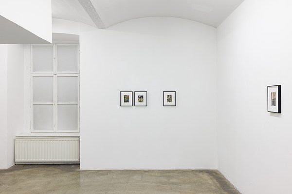 Image 11 of 19