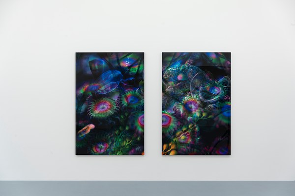 Image 10 of 15