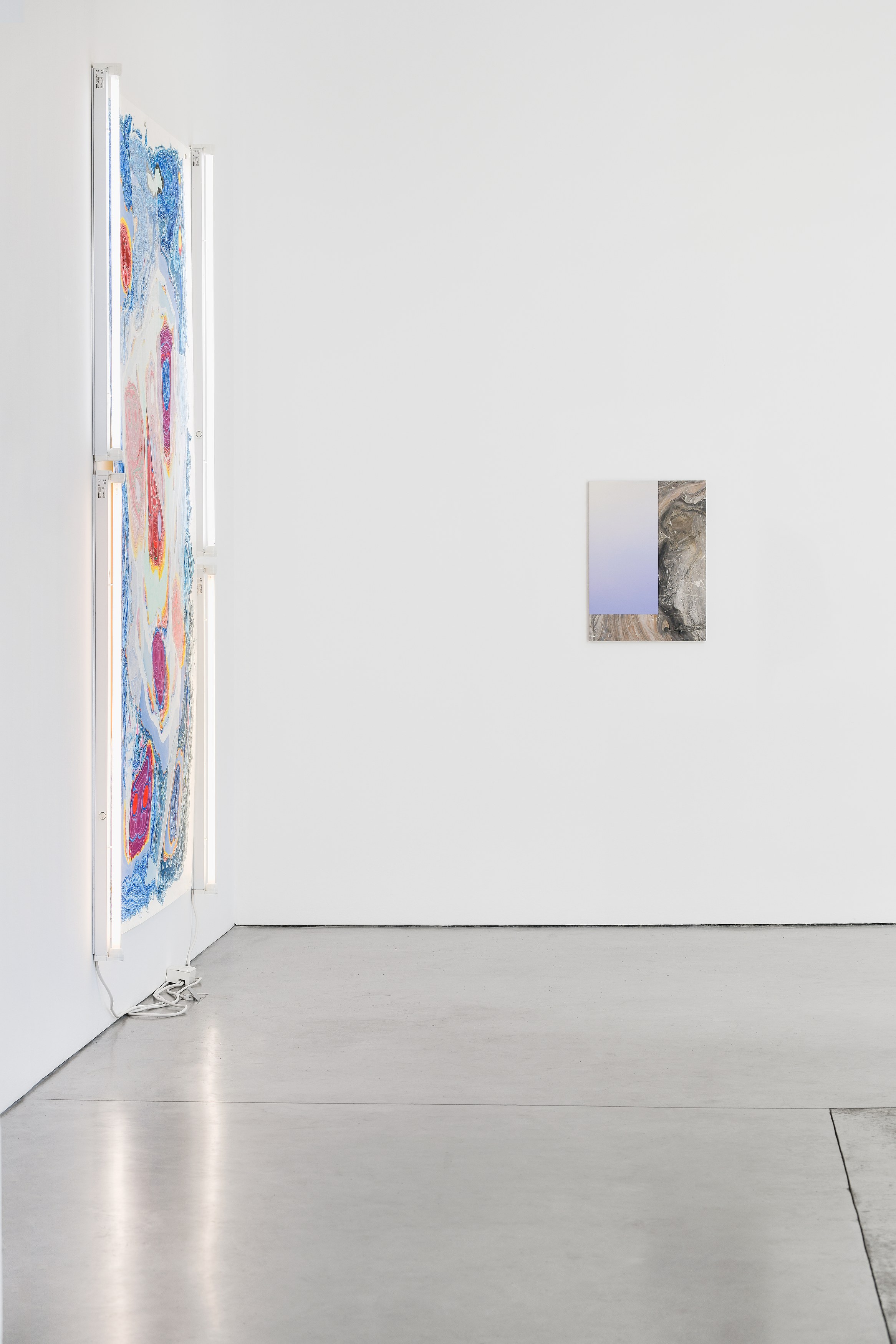 Pictorial Resonance, Pictorial Resonance at Galerie Thomas Schulte, photo 22