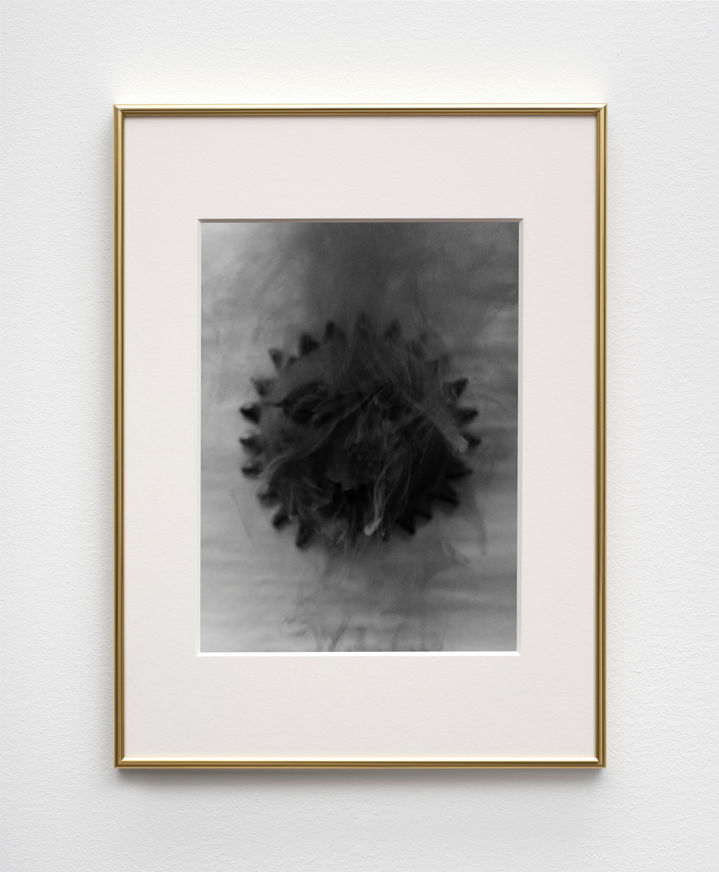 Manfred Pernice, Megan Plunkett, >anticorpo< at Emalin, photo 24