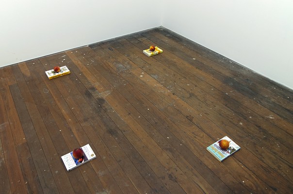 Image 4 of 22