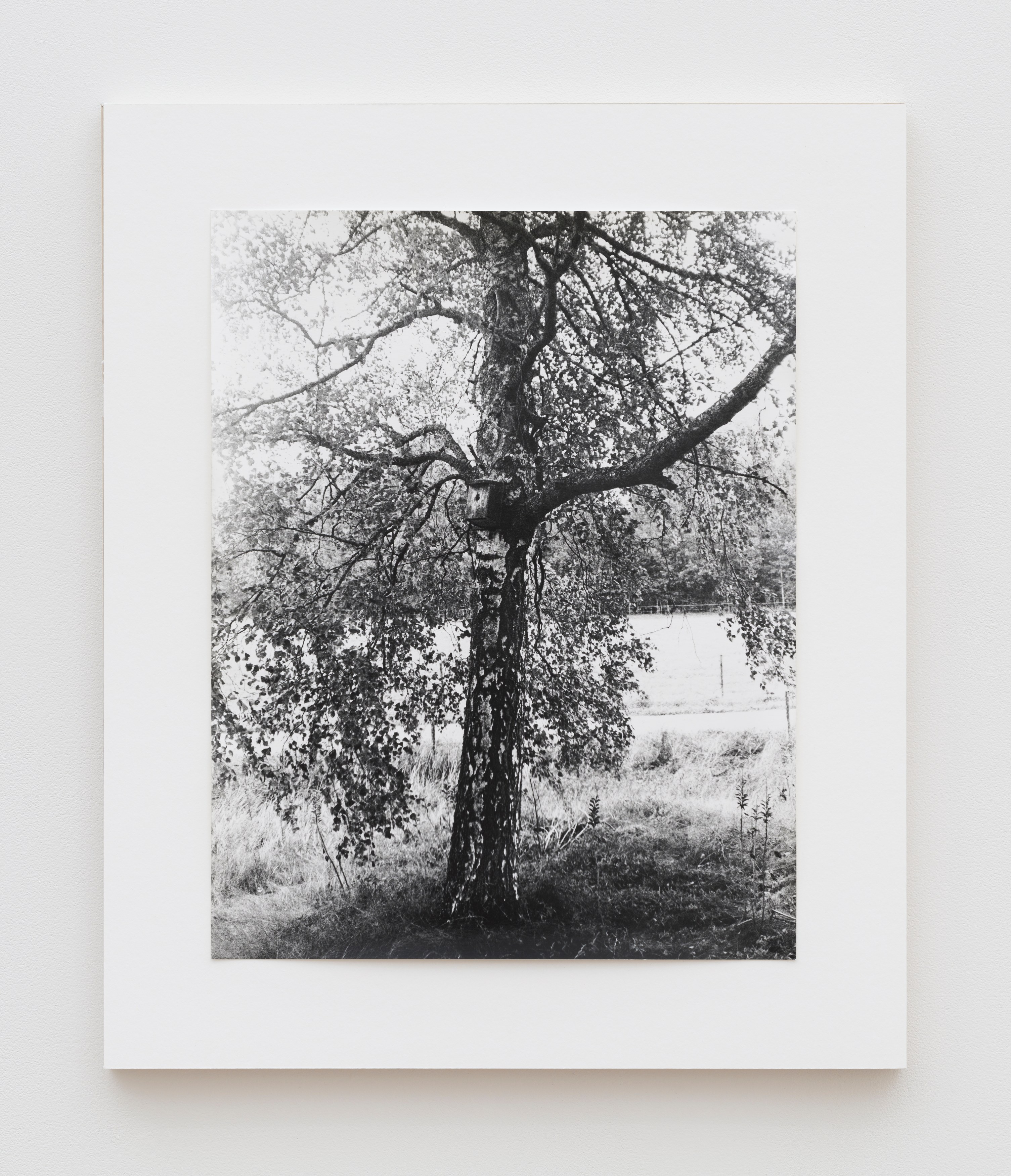 Looking Back: The 14th White Columns Annual, Looking Back: The 14th White Columns Annual at White Columns, photo 25