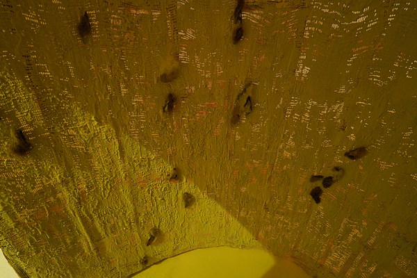 Image 3 of 25