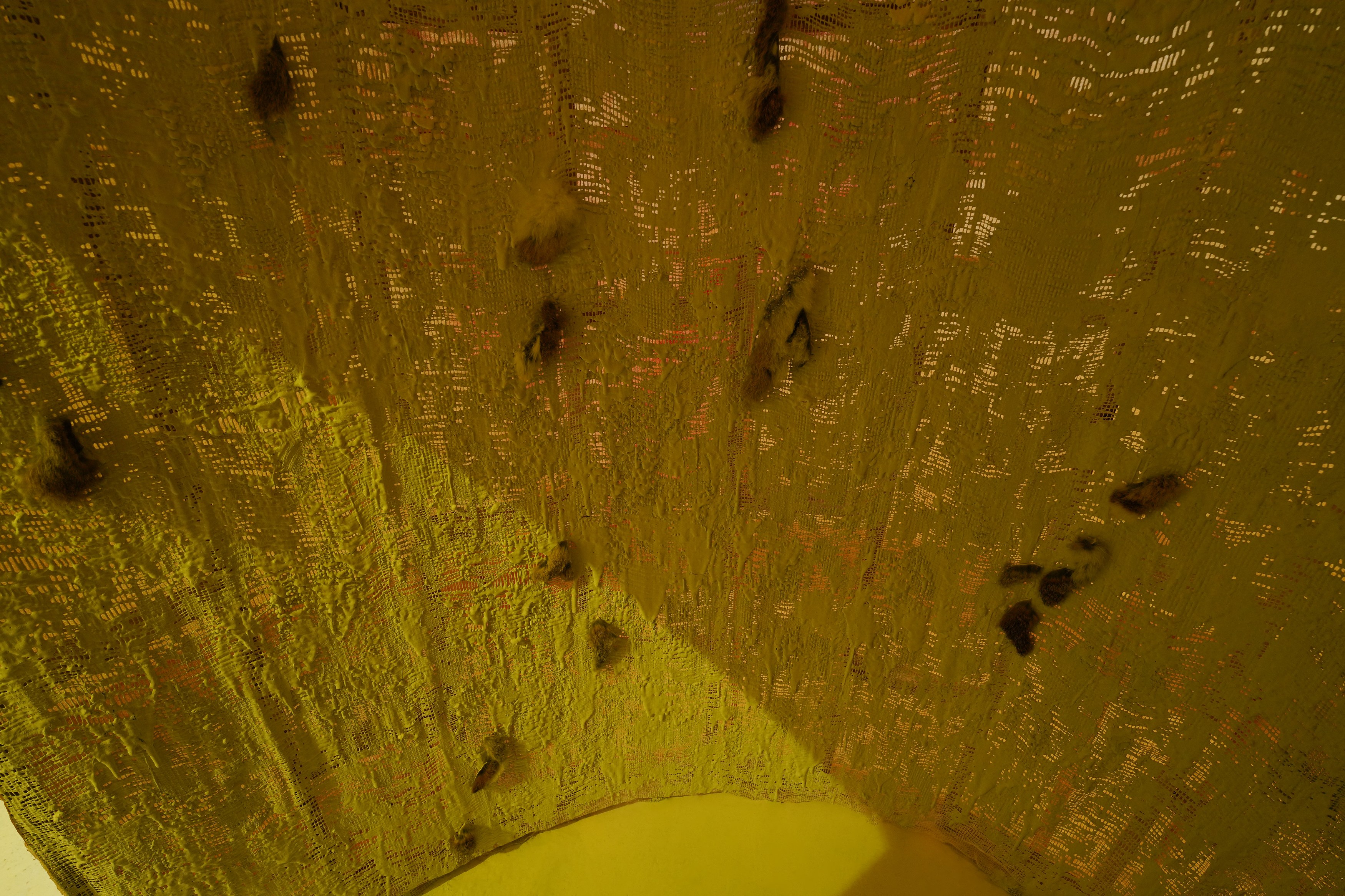 Li Li Ren, The World Forgetting, by the World Forgot at Sherbet Green, photo 3