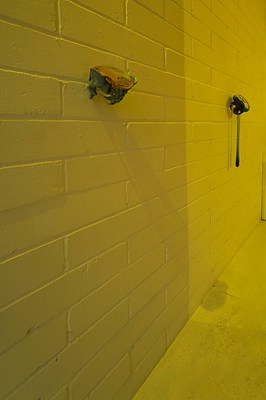 Image 10 of 25